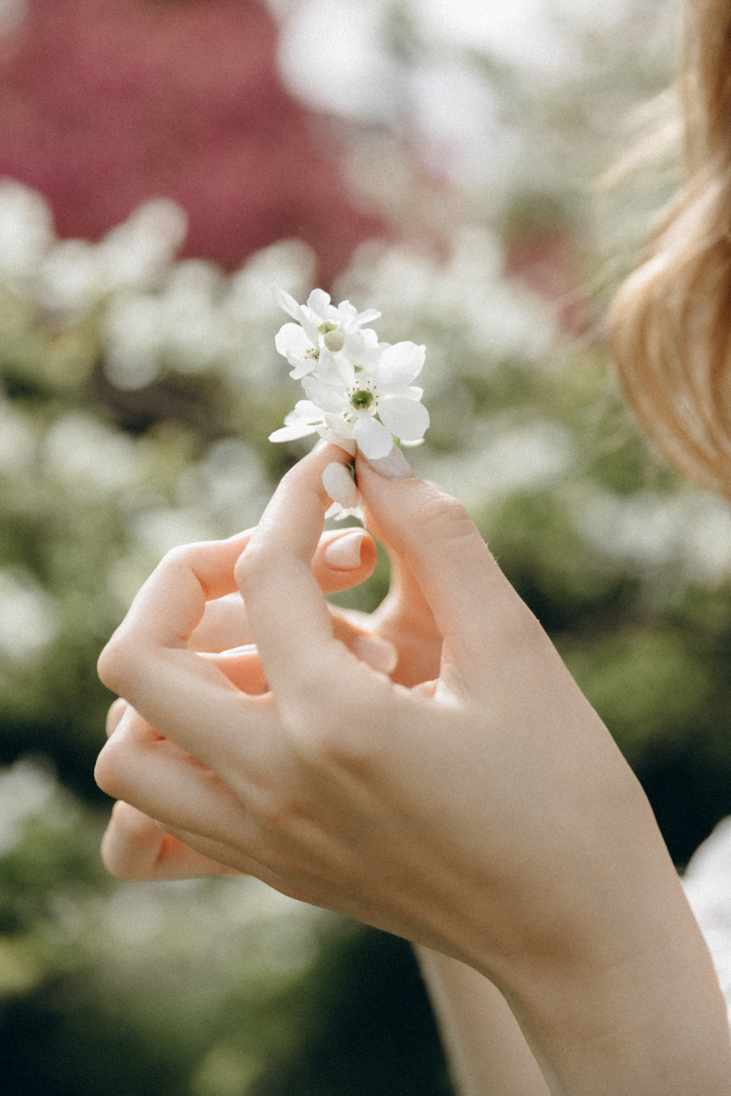 Арина. Фотограф Сочи Адлер Красная Поляна Ошутина Анастасия