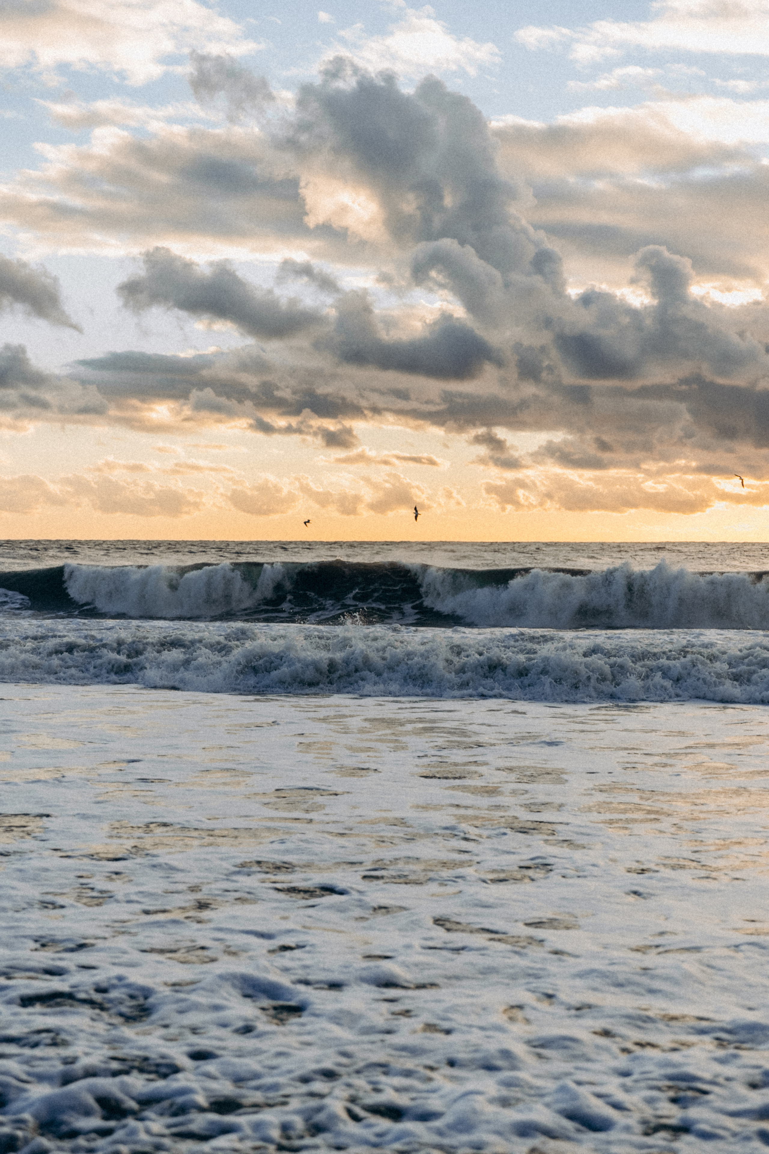 Дарья. Фотограф Сочи Адлер Красная Поляна Ошутина Анастасия