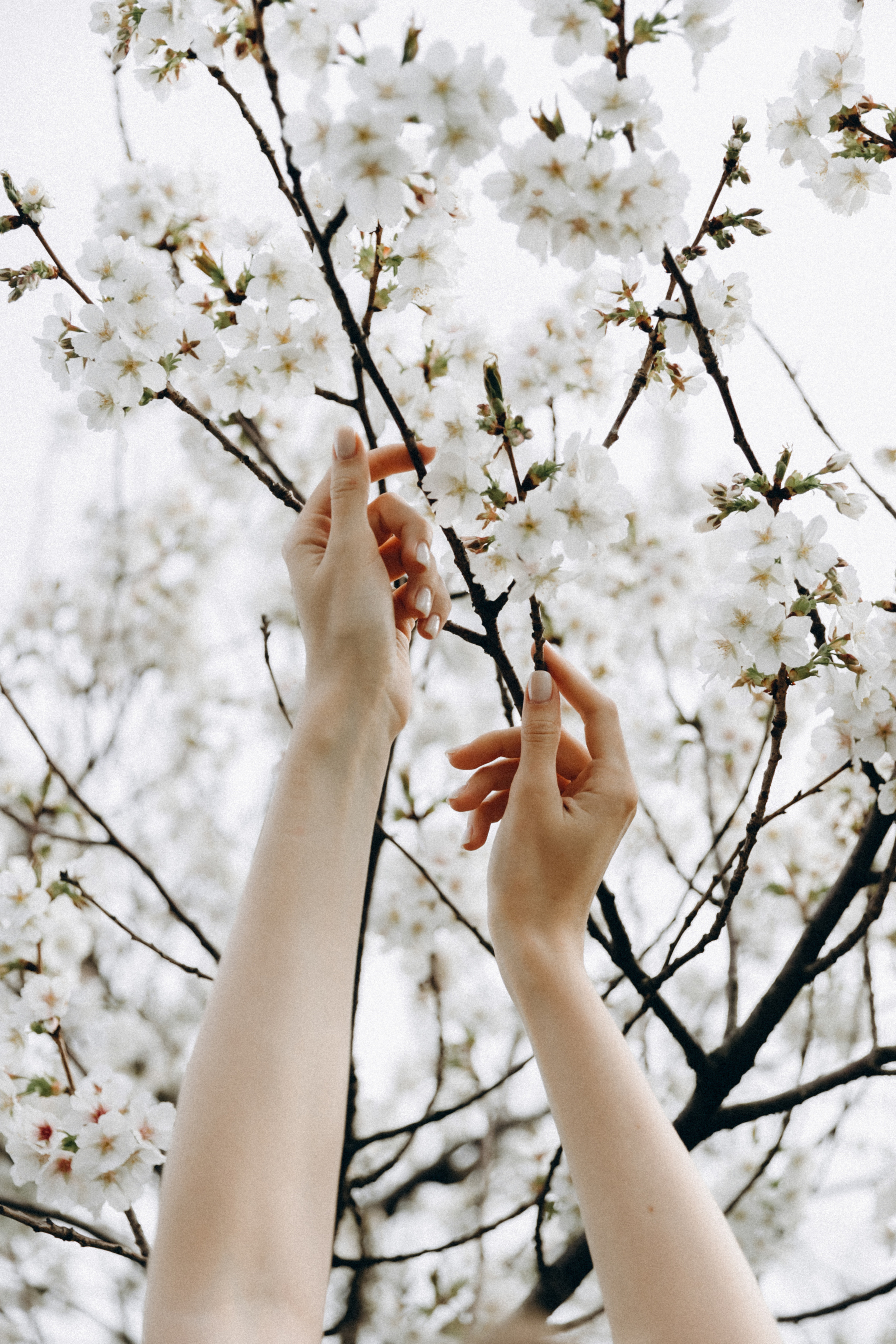 Арина. Фотограф Сочи Адлер Красная Поляна Ошутина Анастасия