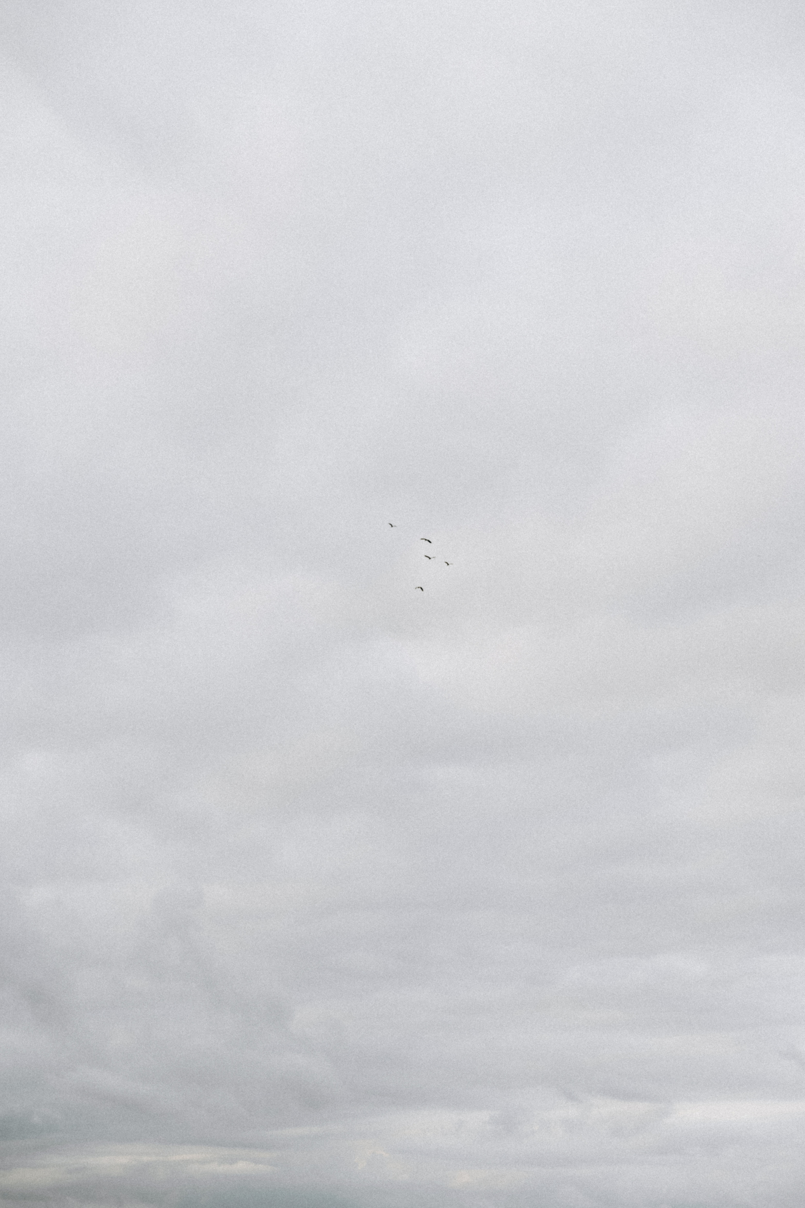 Маша. Фотограф Сочи Адлер Красная Поляна Ошутина Анастасия