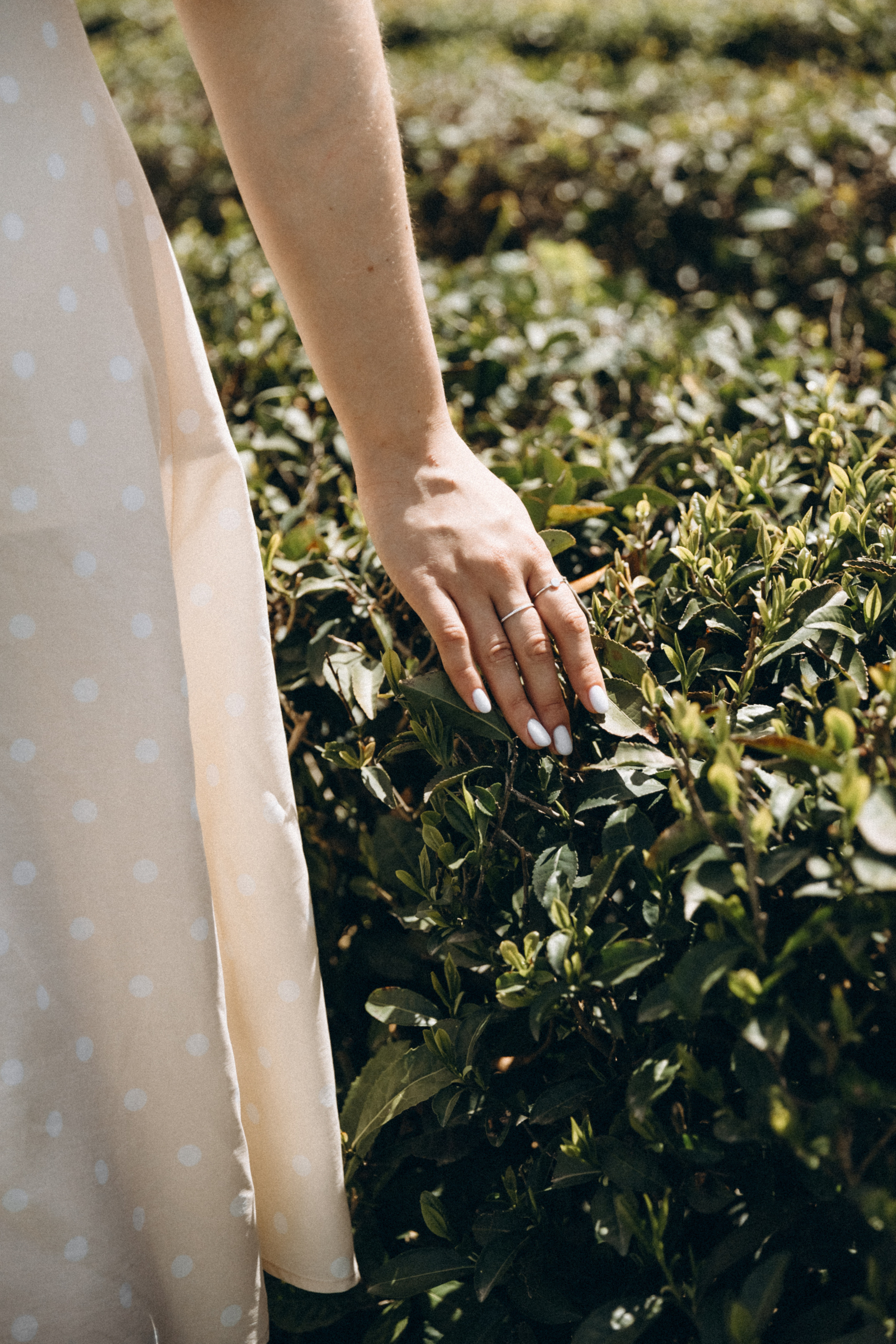 Валерия. Фотограф Сочи Адлер Красная Поляна Ошутина Анастасия