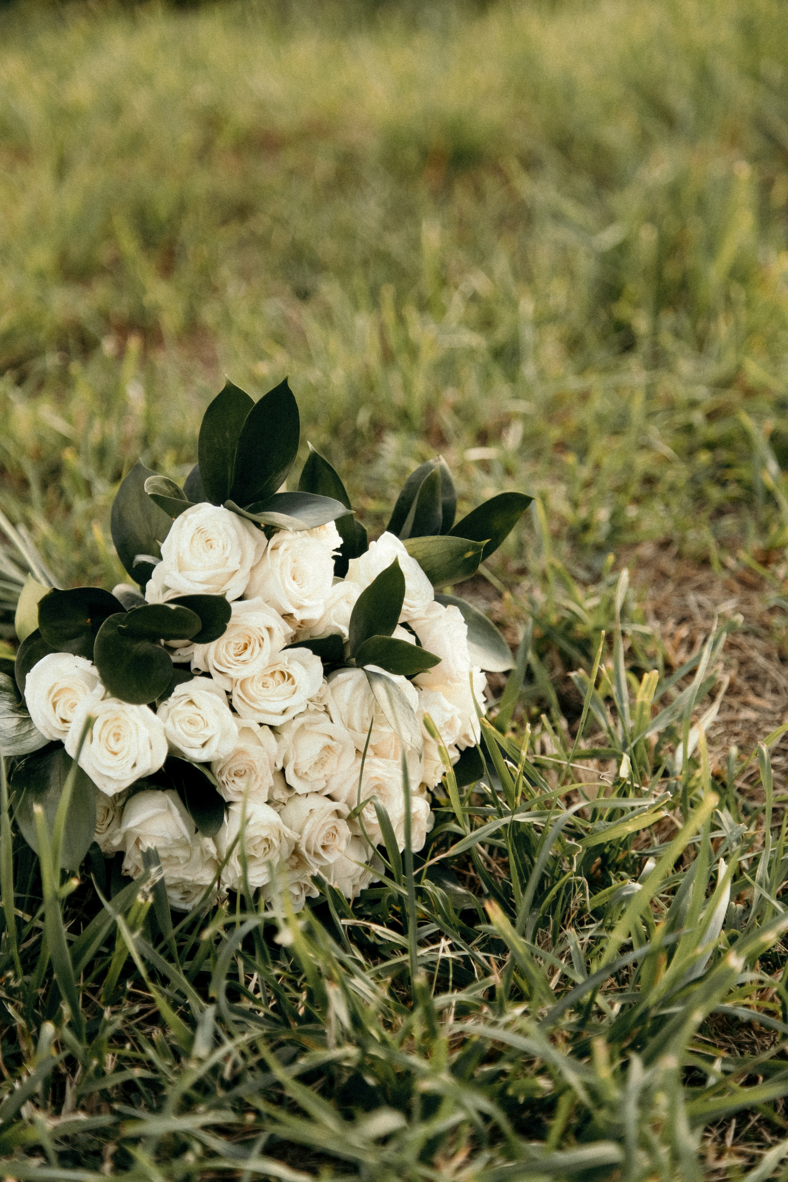Елена и Алексей. Фотограф Сочи Адлер Красная Поляна Ошутина Анастасия