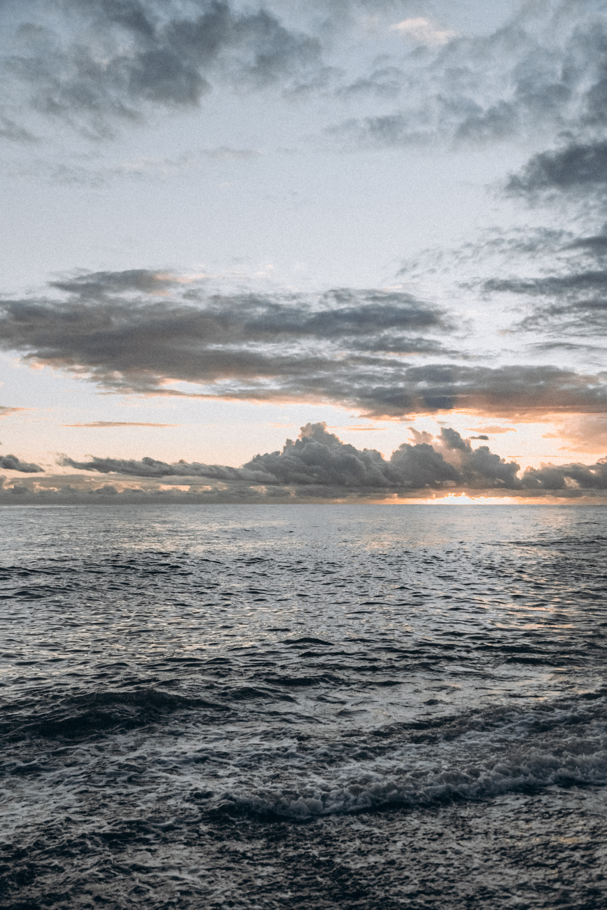 Анастасия, Никита и Ксюша. Фотограф Сочи Адлер Красная Поляна Ошутина Анастасия