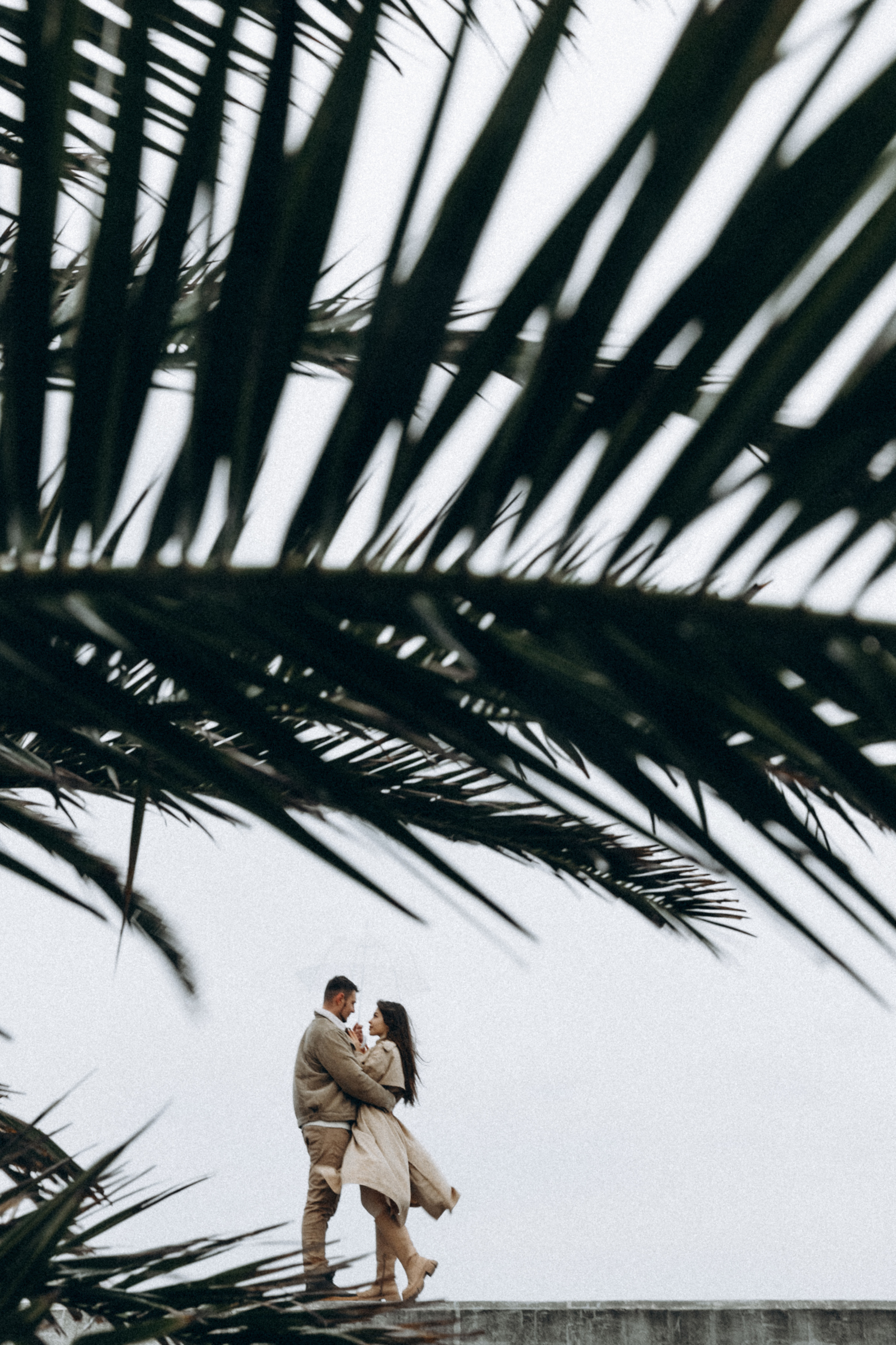 Ирина и Александр. Фотограф Сочи Адлер Красная Поляна Ошутина Анастасия