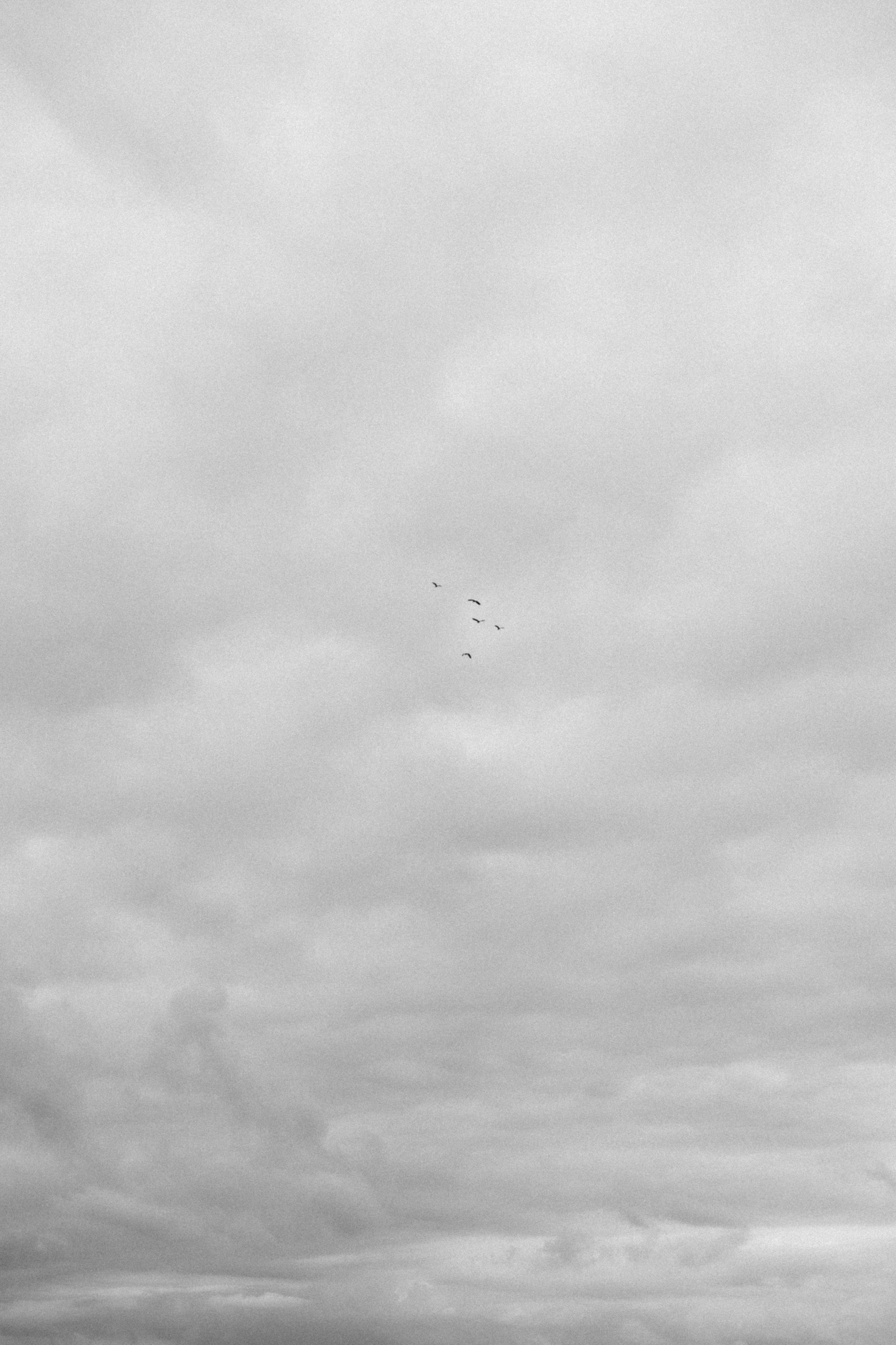 Маша. Фотограф Сочи Адлер Красная Поляна Ошутина Анастасия