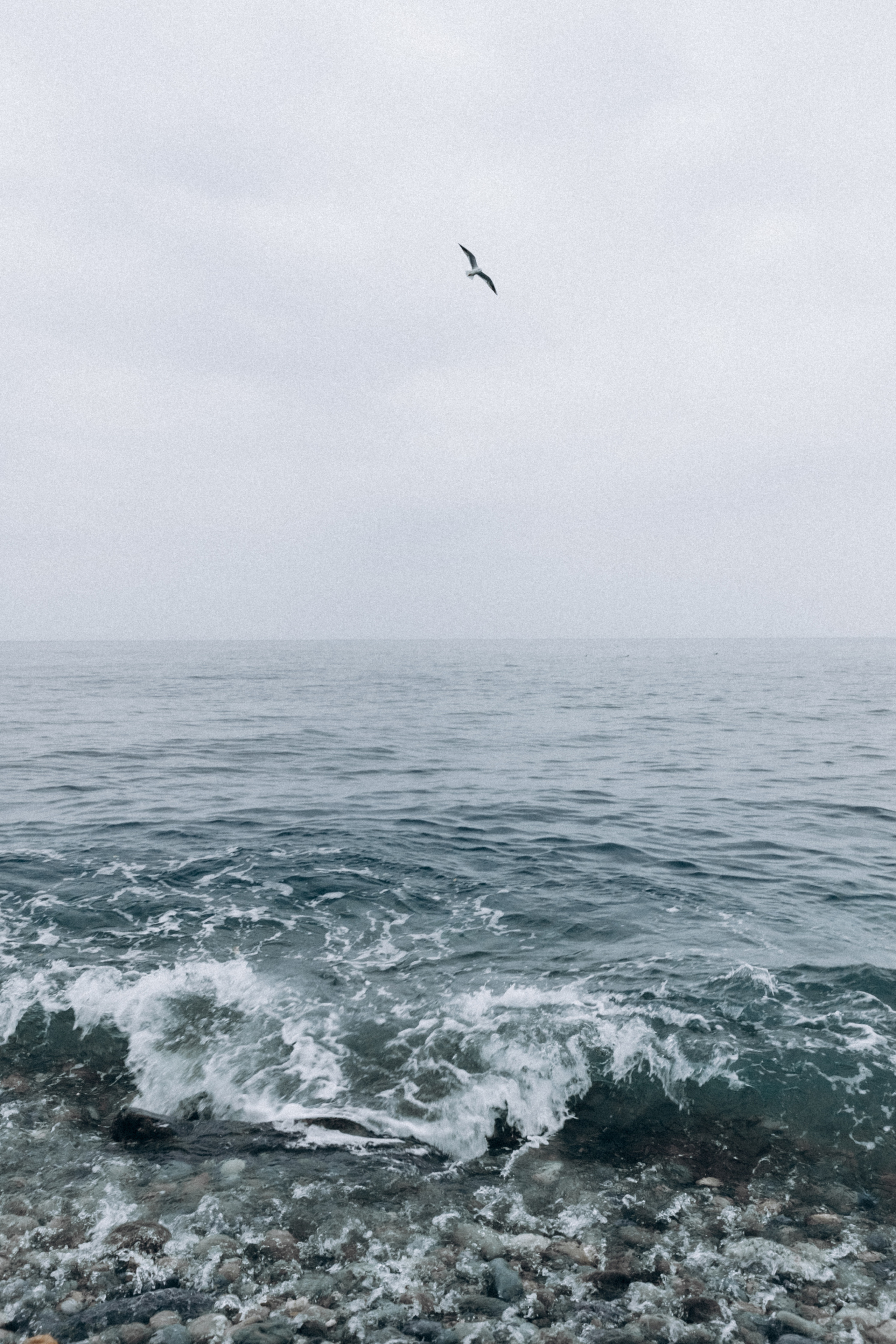 Ирина. Фотограф Сочи Адлер Красная Поляна Ошутина Анастасия