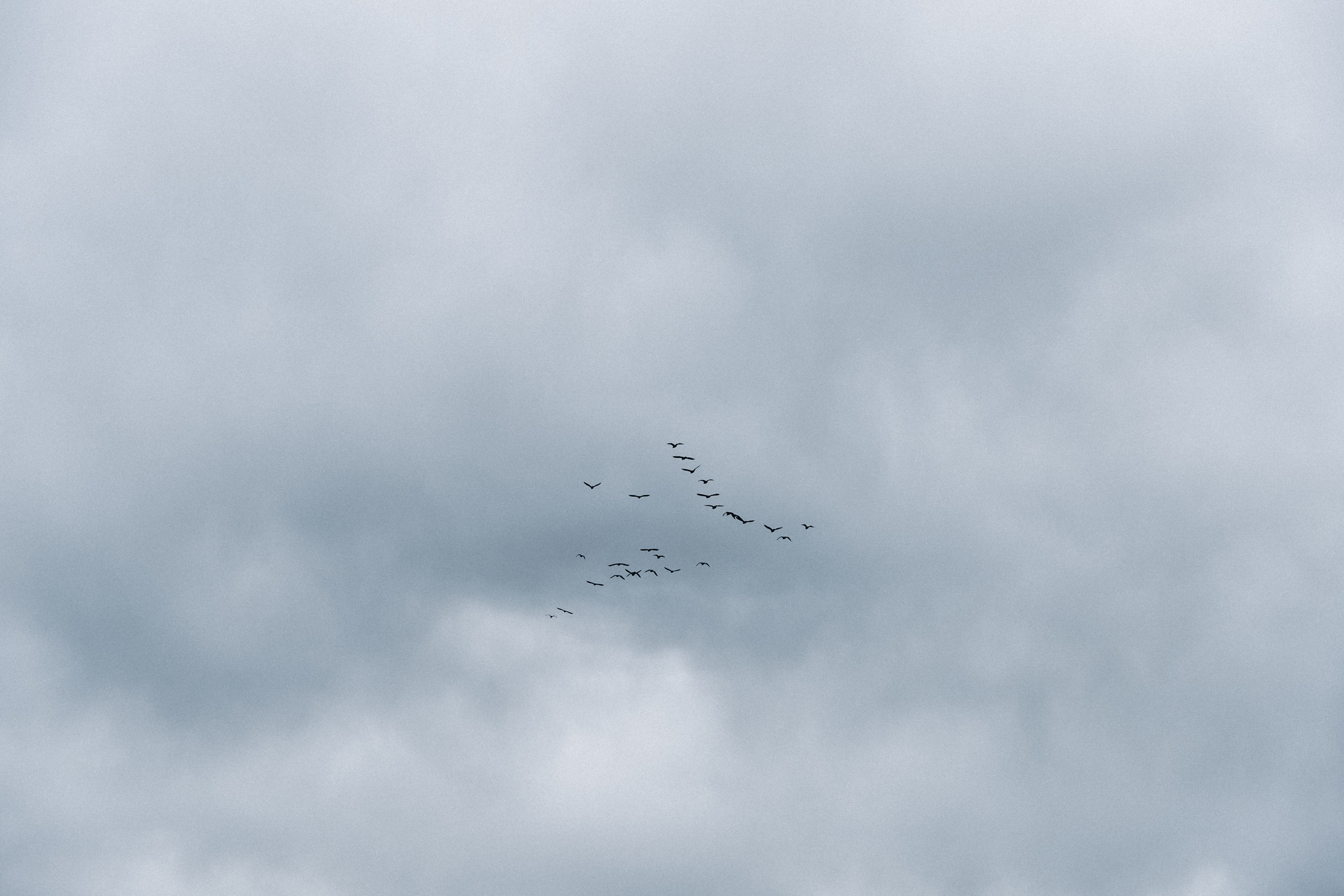 Анастасия и Дмитрий. Фотограф Сочи Адлер Красная Поляна Ошутина Анастасия