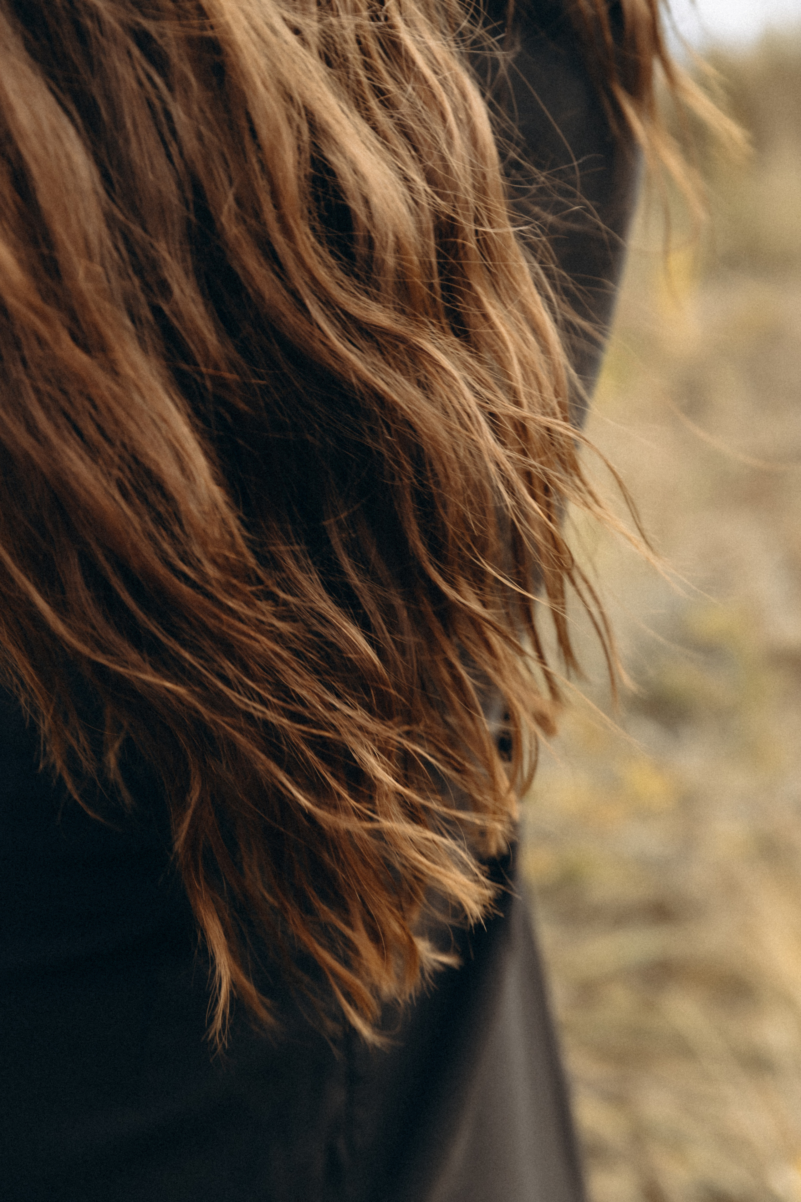 Юлия. Фотограф Сочи Адлер Красная Поляна Ошутина Анастасия