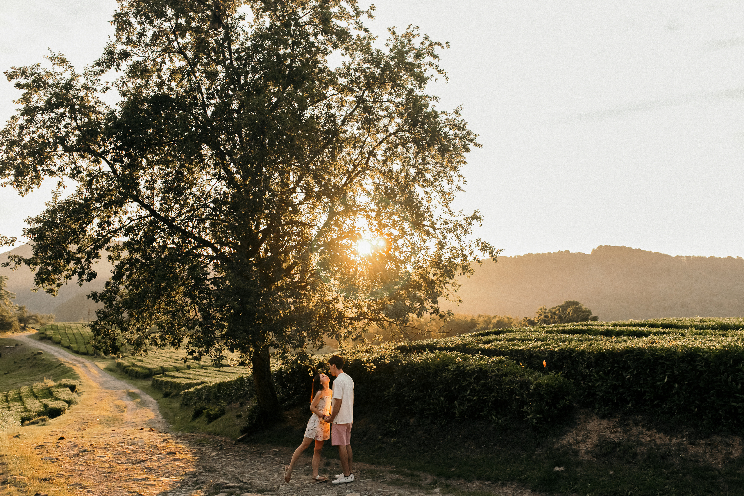 Алиса и Сергей. Фотограф Сочи Адлер Красная Поляна Ошутина Анастасия