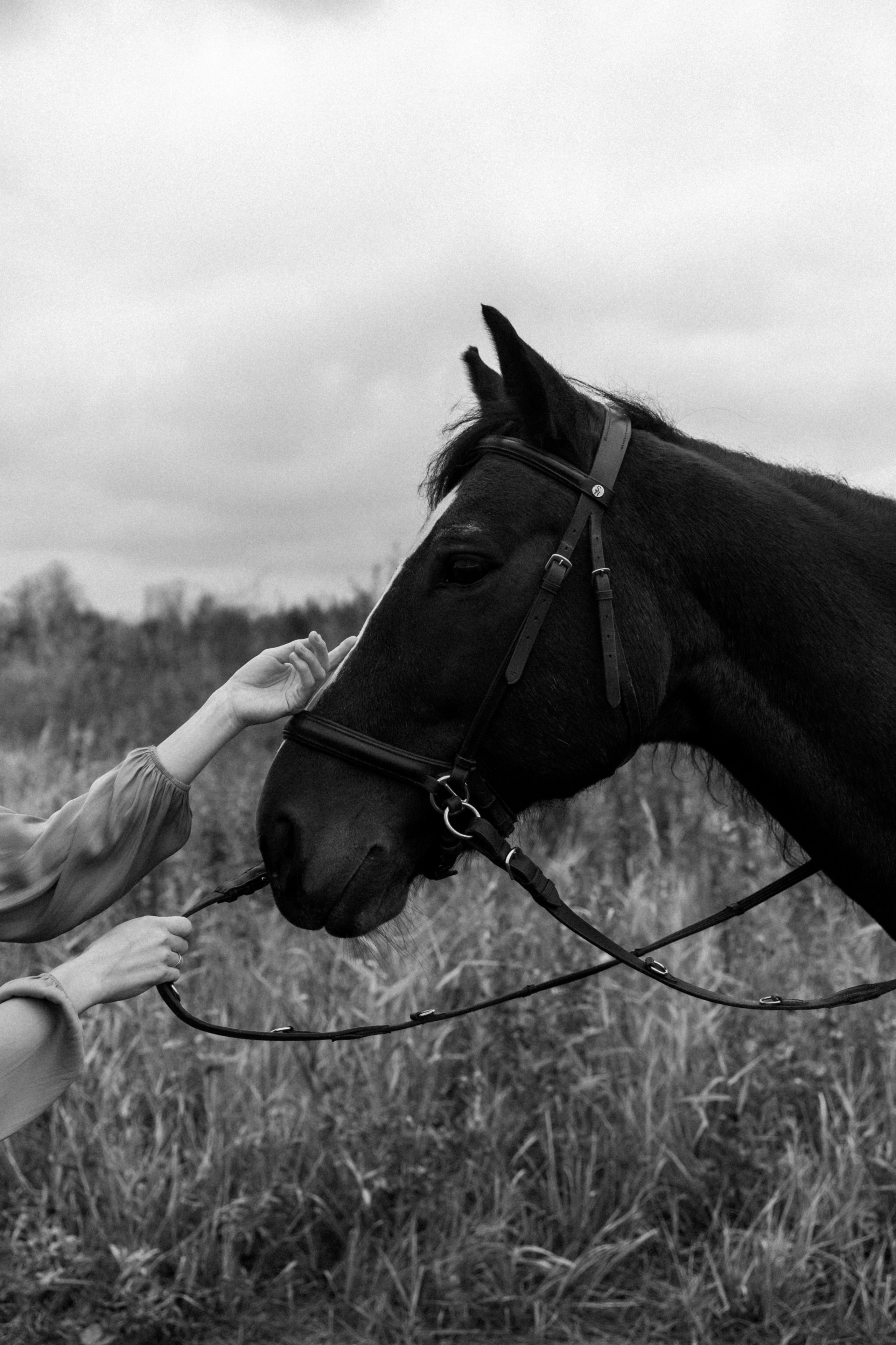 Юлия. Фотограф Сочи Адлер Красная Поляна Ошутина Анастасия