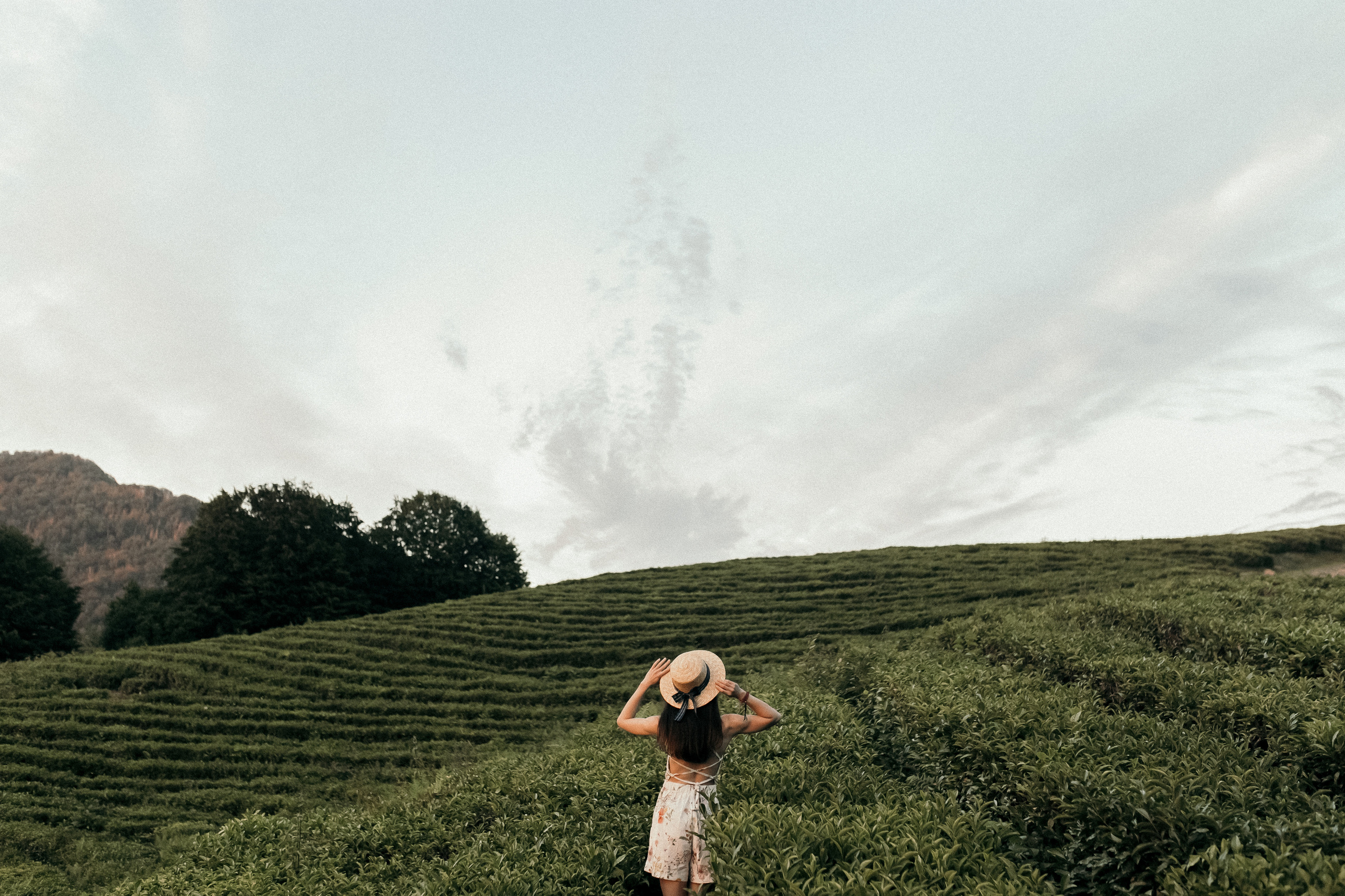 Алиса и Сергей. Фотограф Сочи Адлер Красная Поляна Ошутина Анастасия