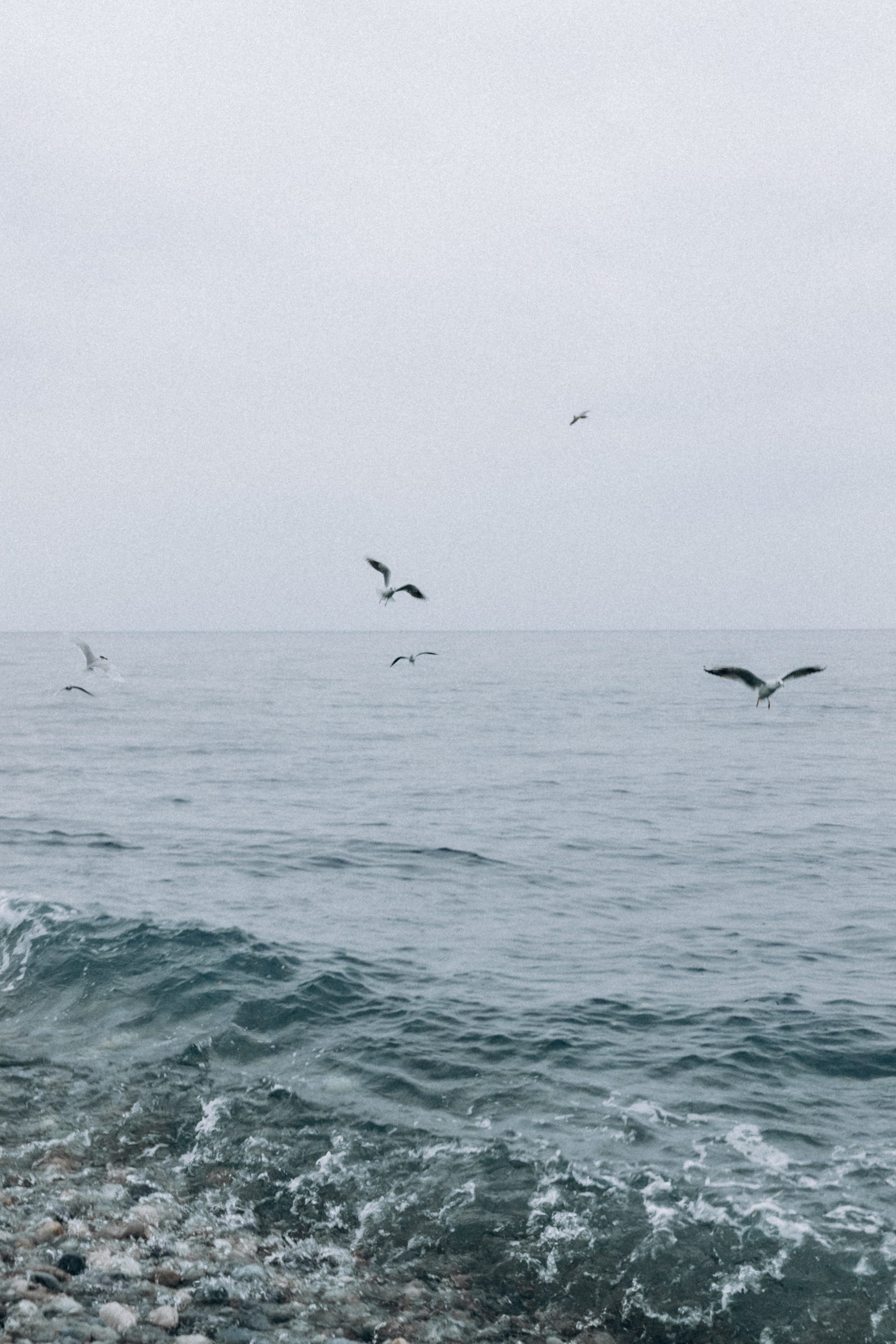 Ирина. Фотограф Сочи Адлер Красная Поляна Ошутина Анастасия