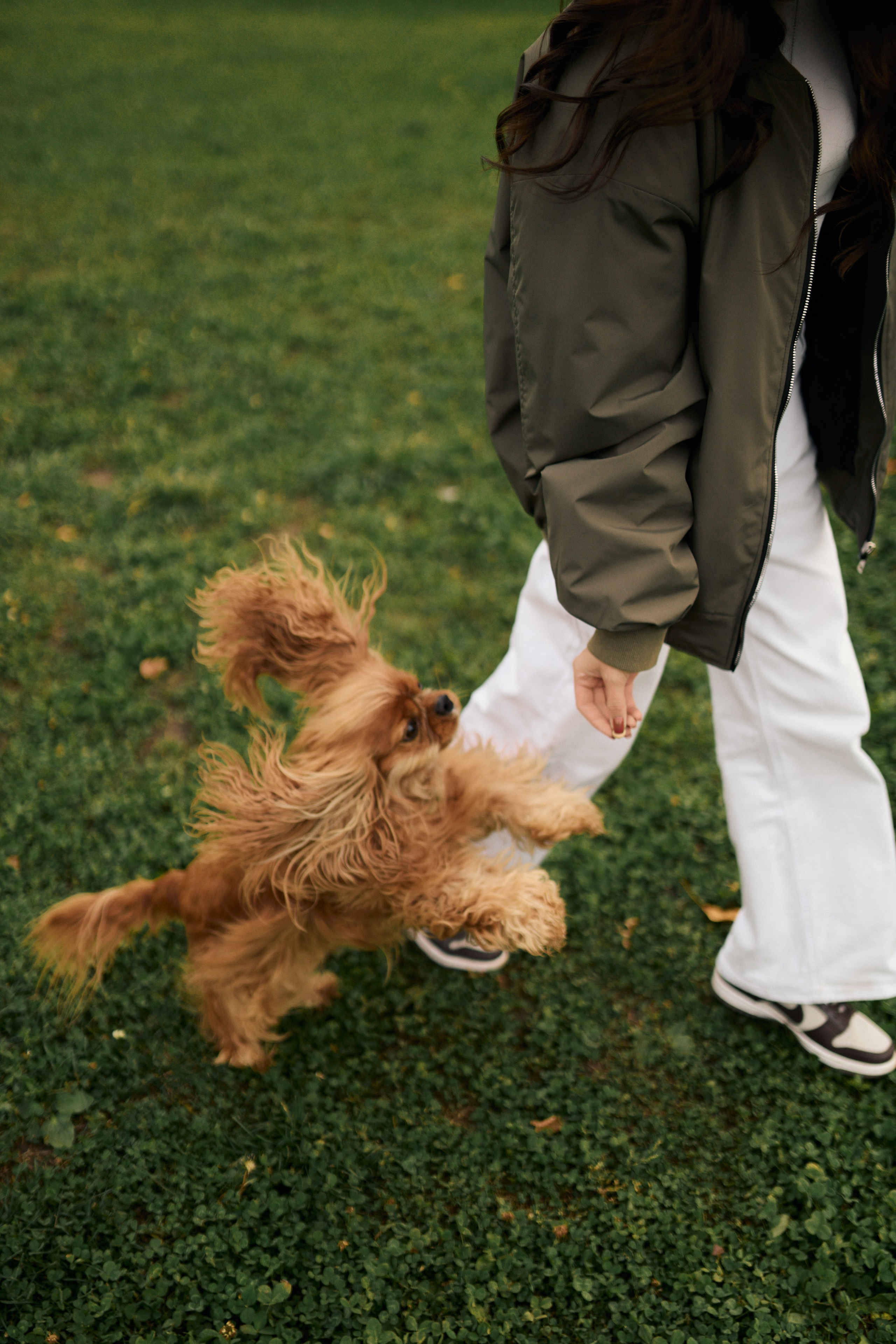 Софа. Прогулочная фотосессия. Алина Каравайцева. Фотограф в городе Барнаул