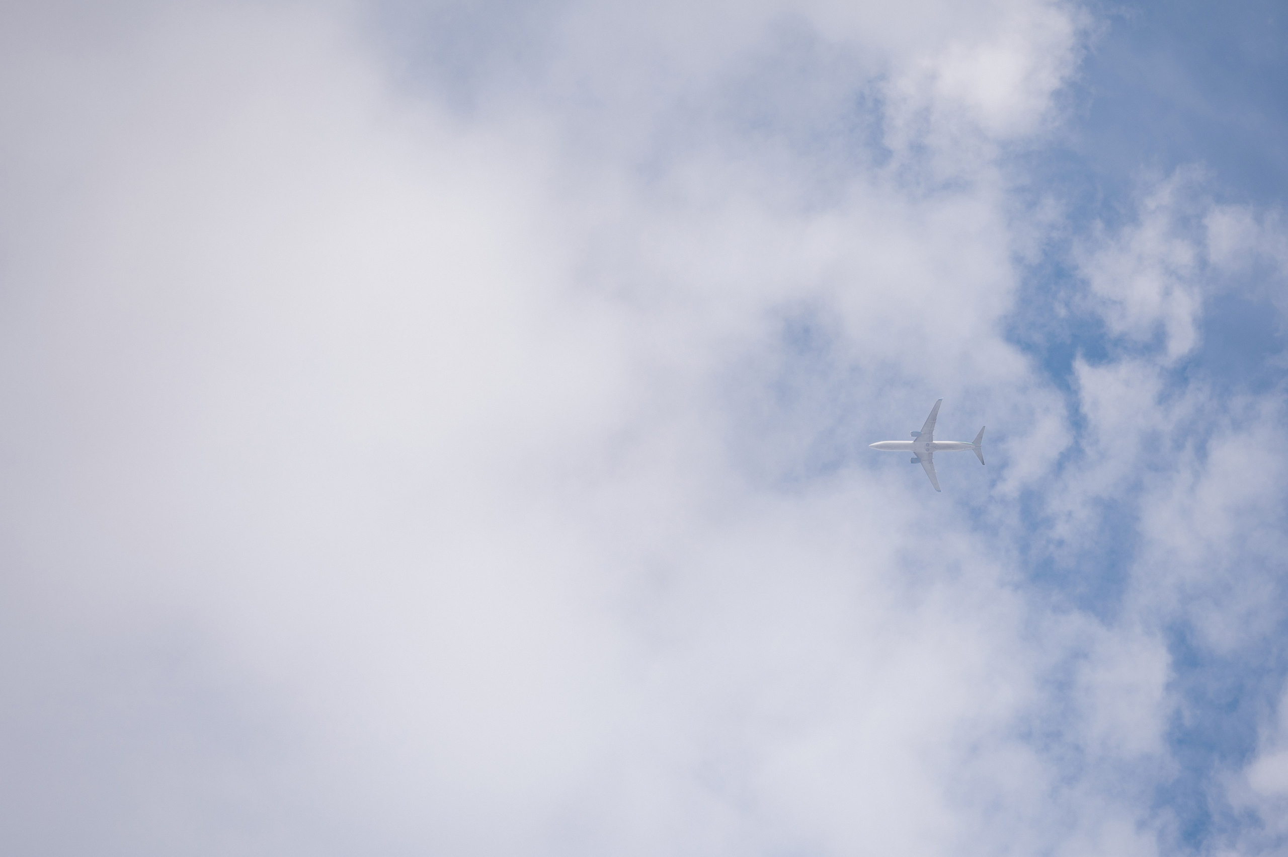 НАСТЯ И ЕГОР. Свадебный и семейный фотограф Никита Корохов