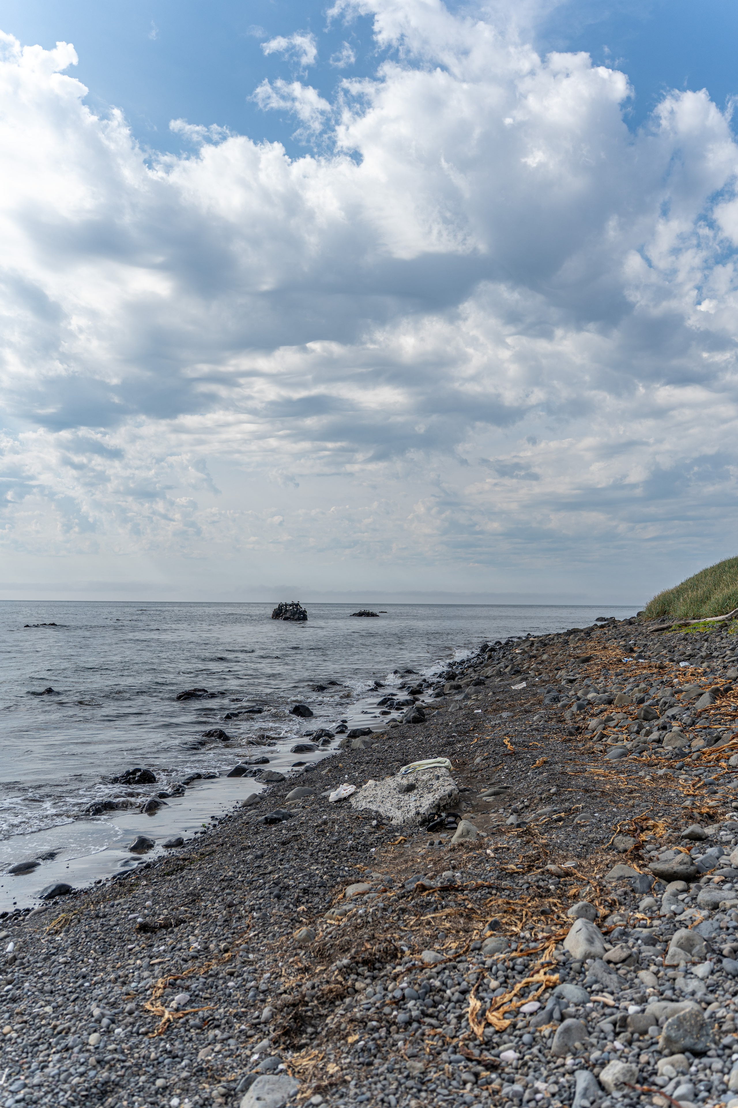 Сахалин 2025. Творческие сьемки