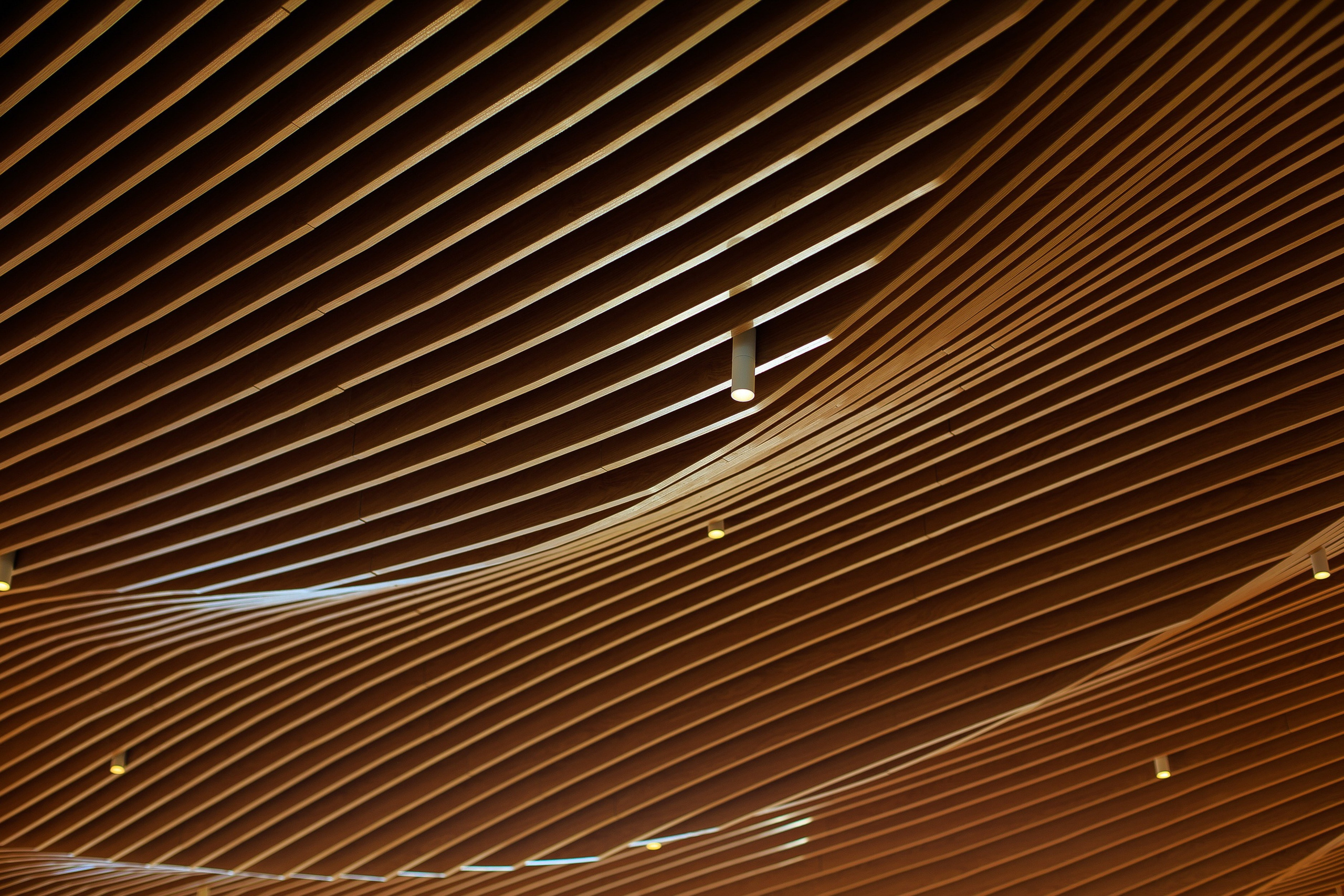 Фотосъёмка для HoReCa. All In Media — фотосъёмка и видеопродакшн