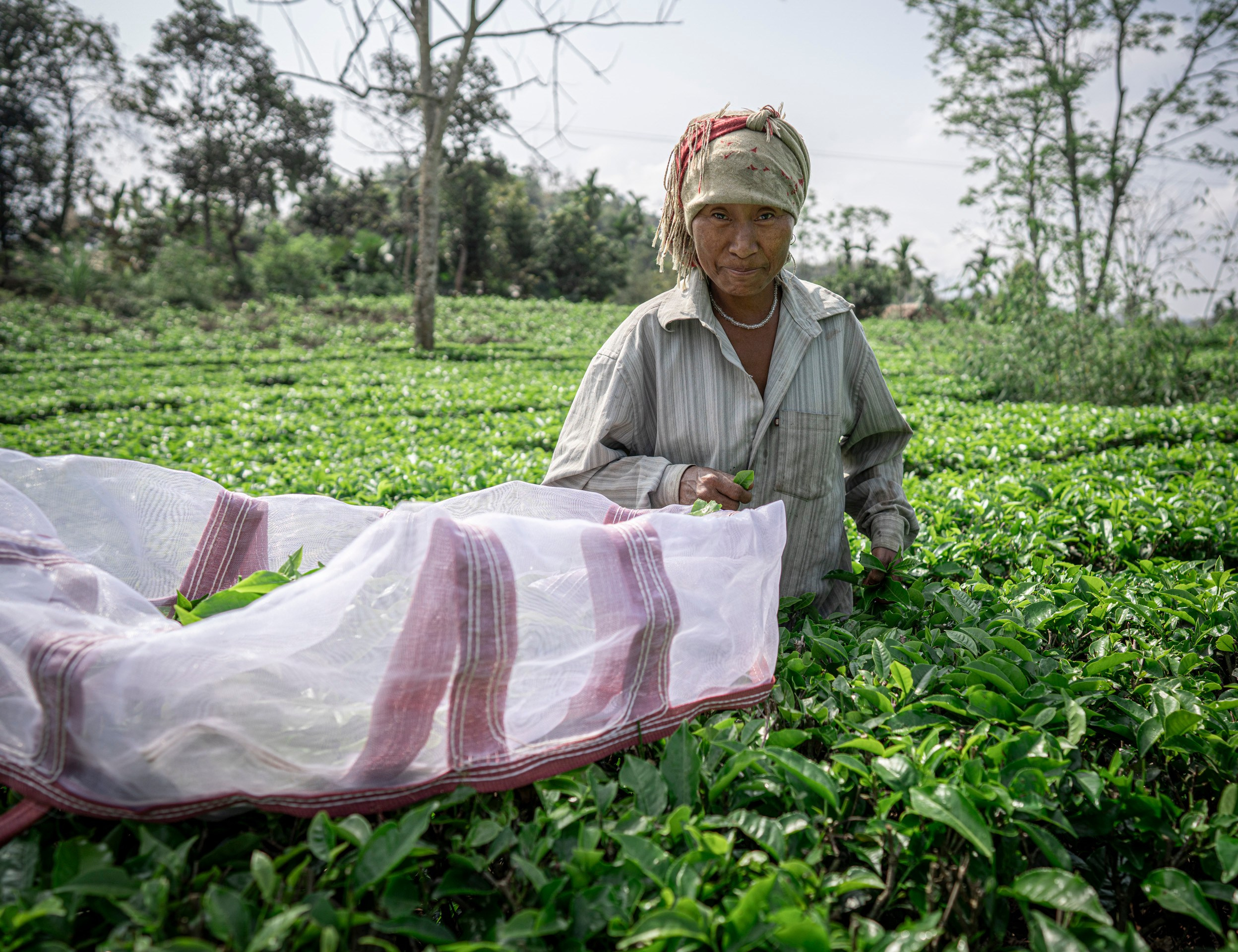 India travel. Фотограф Сергей Танков