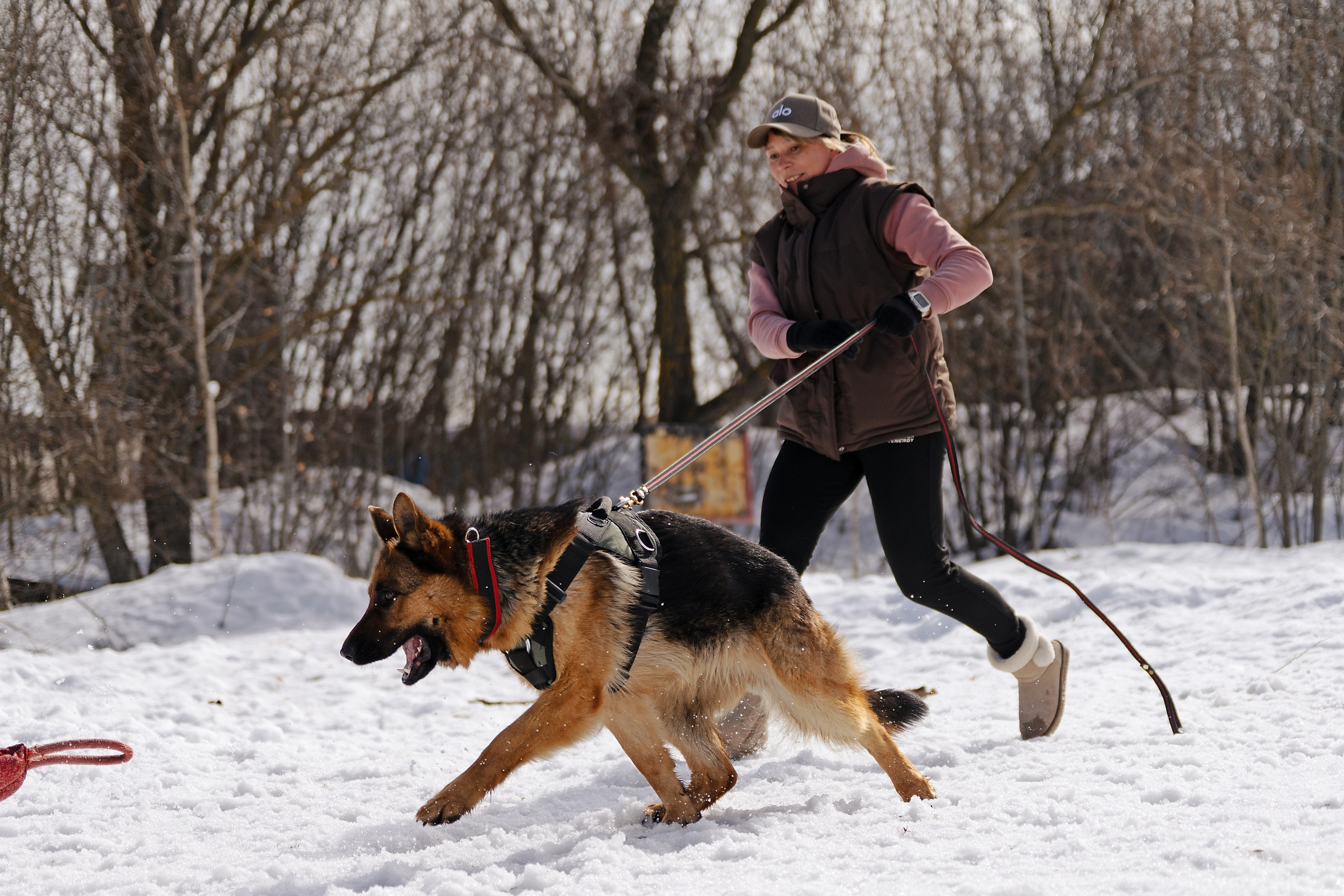 Репортажная съемка. Фотограф-анималист Нижний Новгород