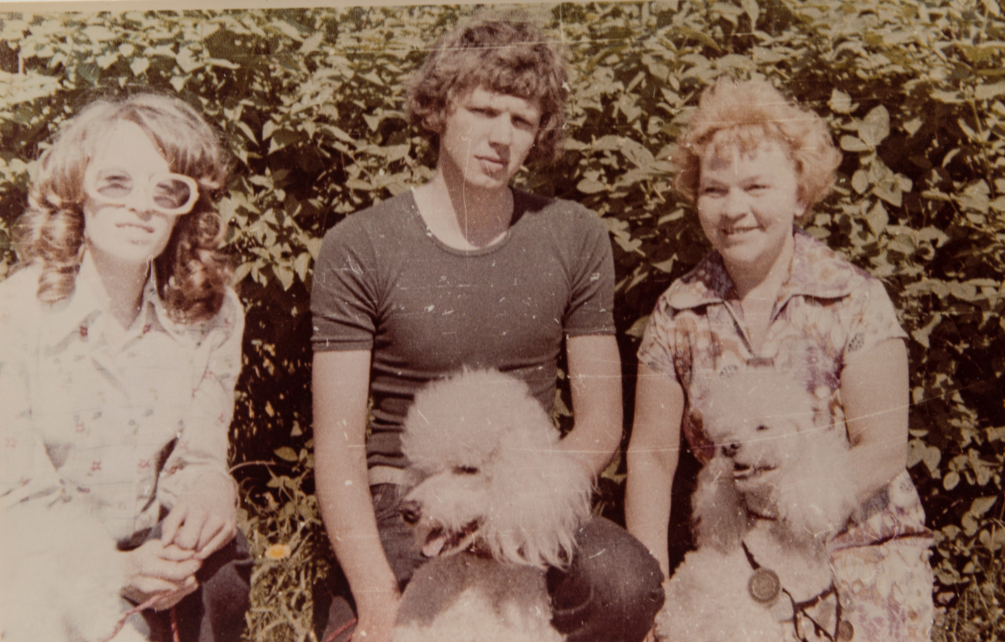 Архивные фотографии с изображением собак. Plechinta Ekaterina documentary photographer