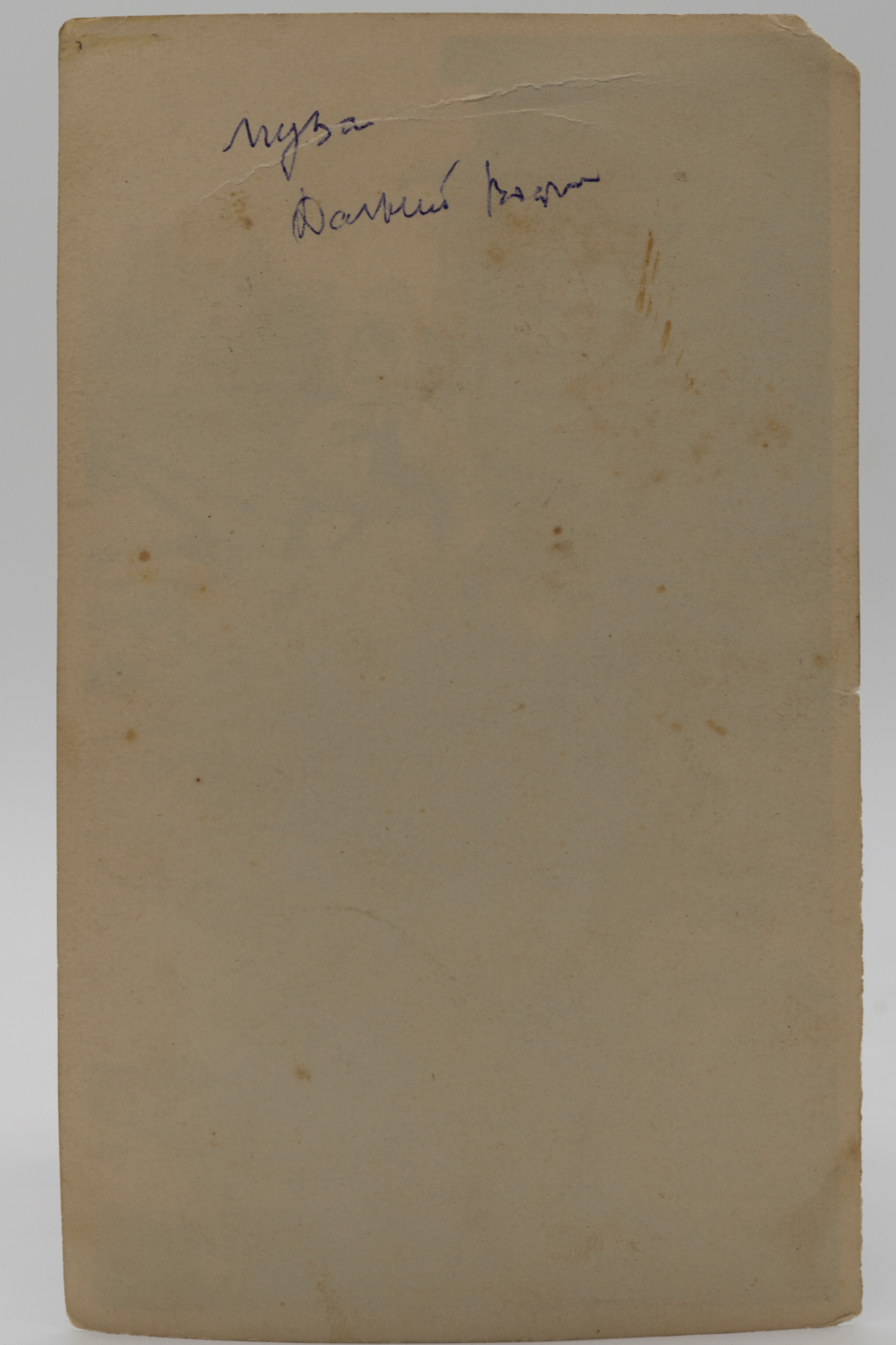 Архивные фотографии с изображением собак. Plechinta Ekaterina documentary photographer