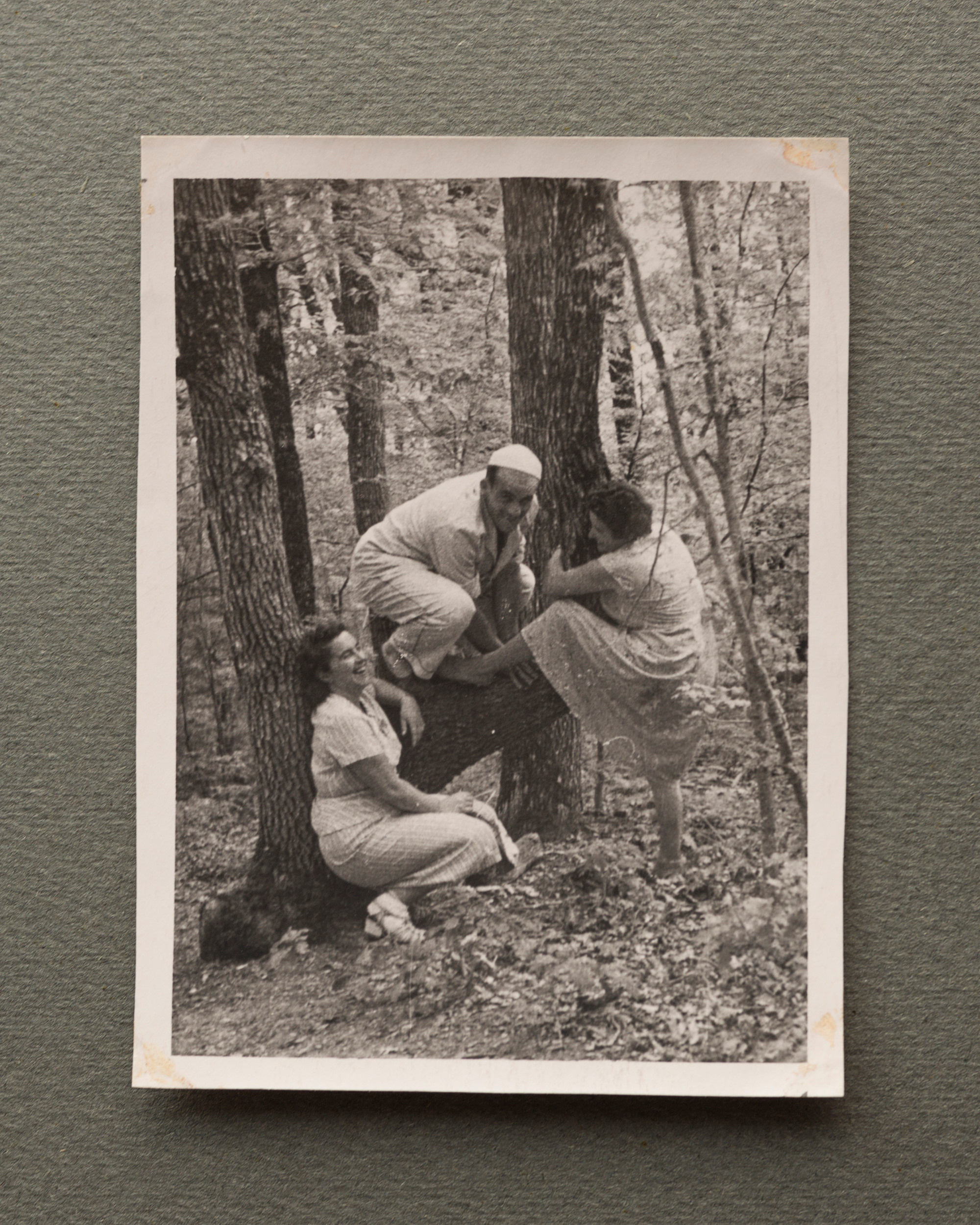 Альбом о путешествии по Крыму. Спидометр мотает километры, 1958 г. Plechinta Ekaterina — documentary photographer