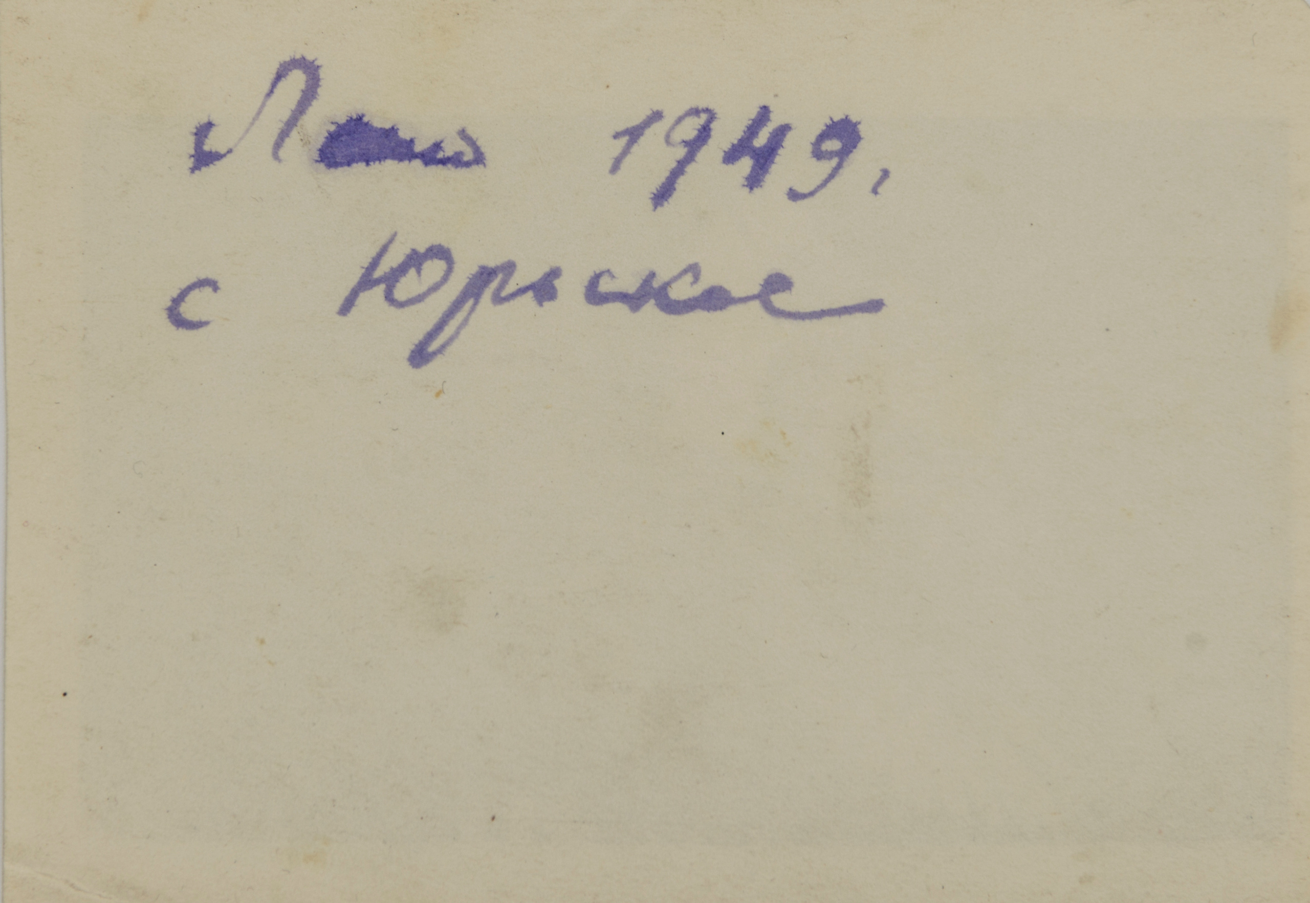 Архивные фотографии с изображением собак. Plechinta Ekaterina documentary photographer