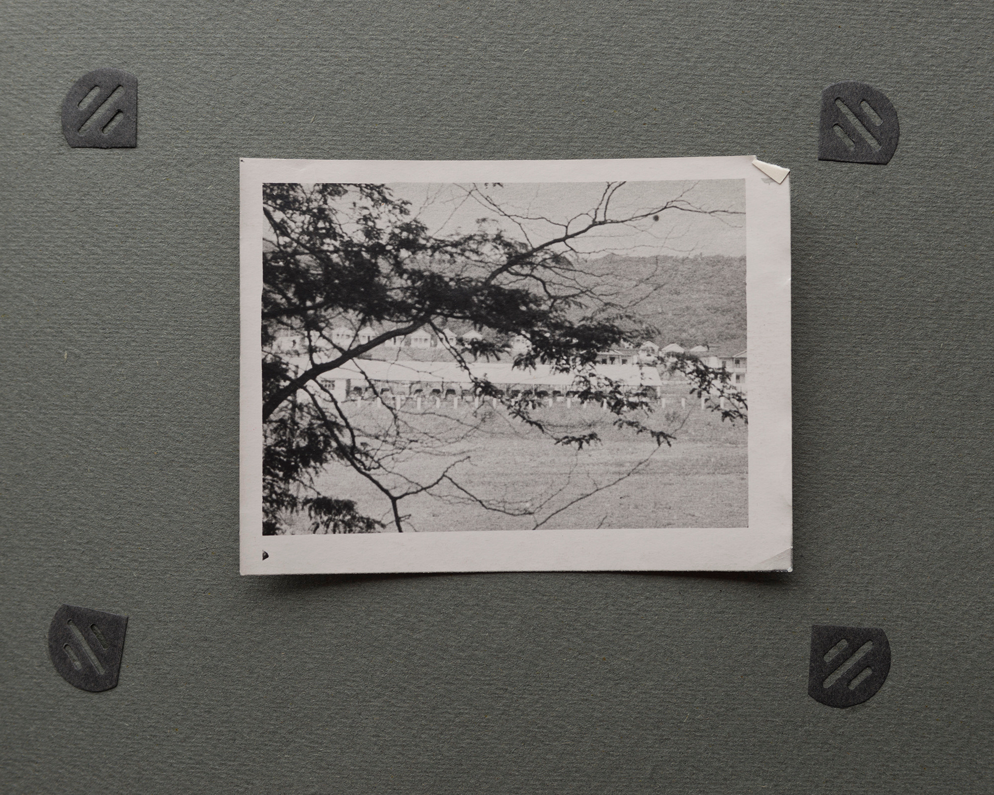 Альбом о путешествии по Крыму. Спидометр мотает километры, 1958 г. Plechinta Ekaterina — documentary photographer