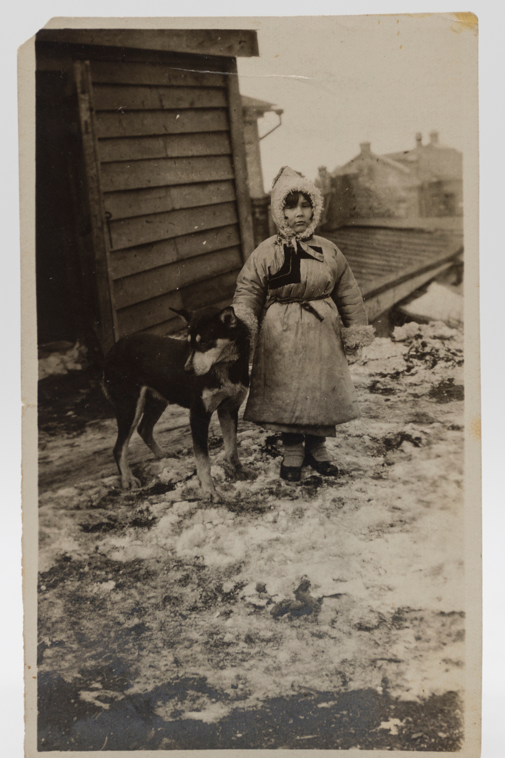 Архивные фотографии с изображением собак. Plechinta Ekaterina documentary photographer