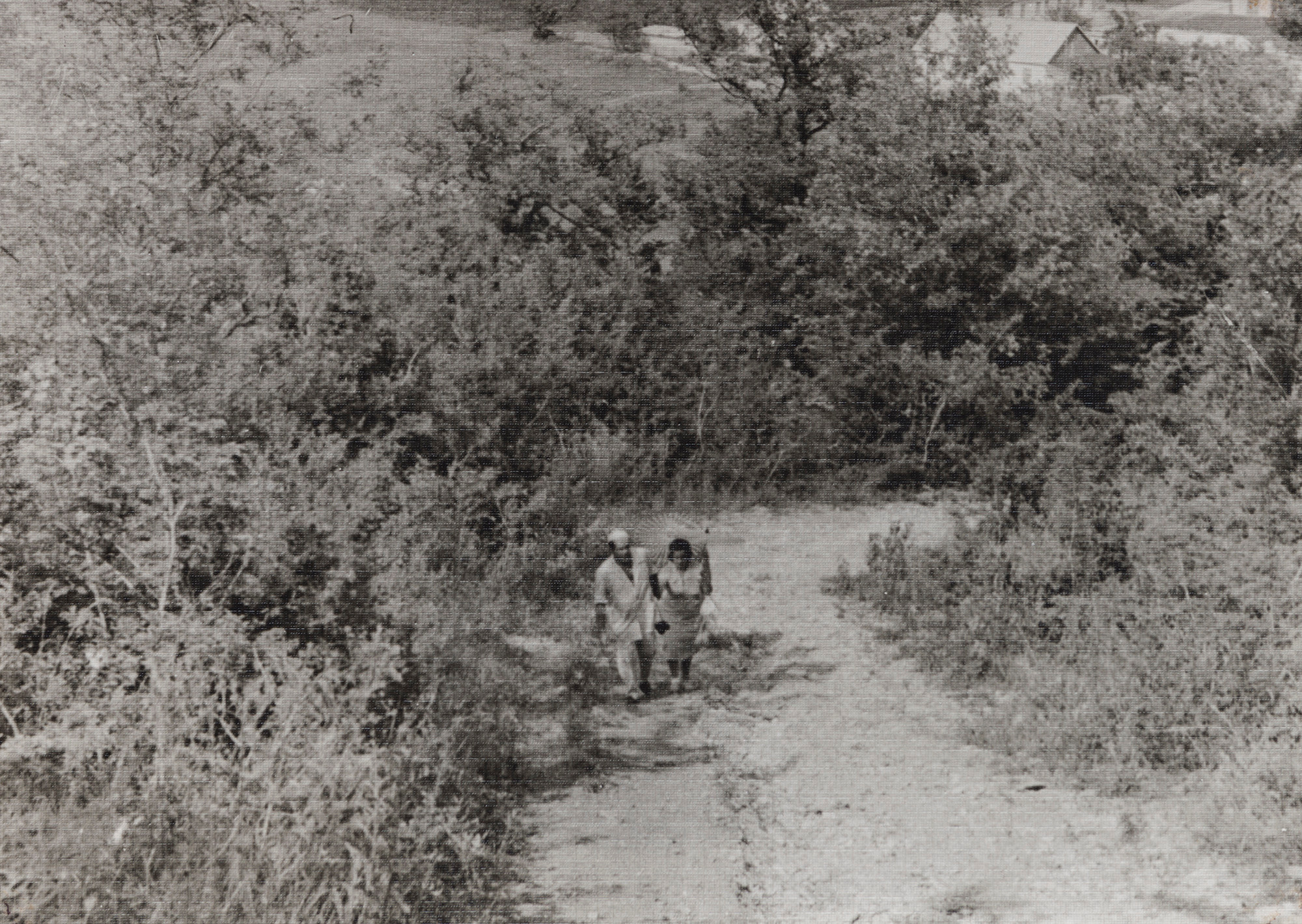 Альбом о путешествии по Крыму. Спидометр мотает километры, 1958 г. Plechinta Ekaterina — documentary photographer
