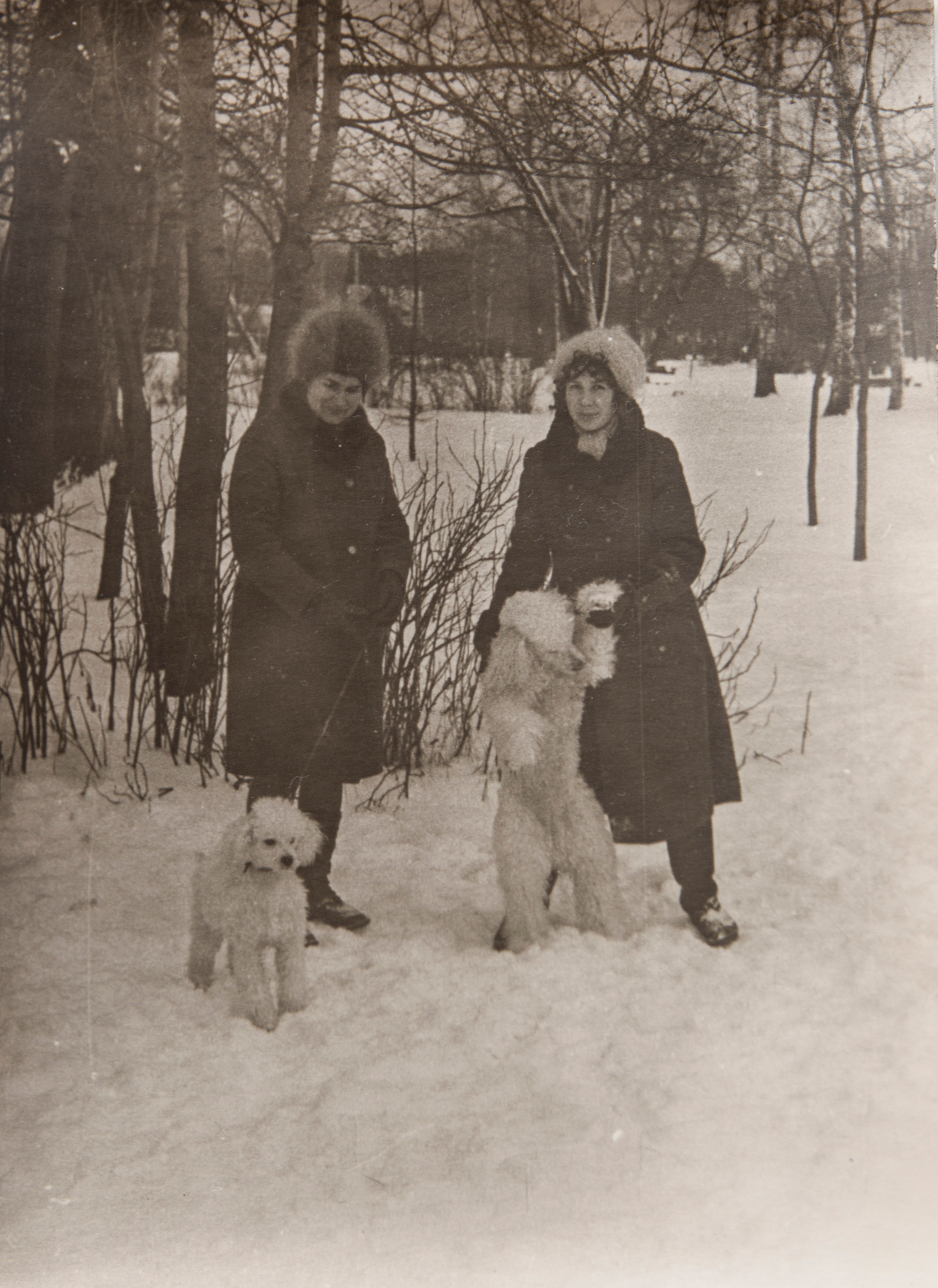 Архивные фотографии с изображением собак. Plechinta Ekaterina documentary photographer