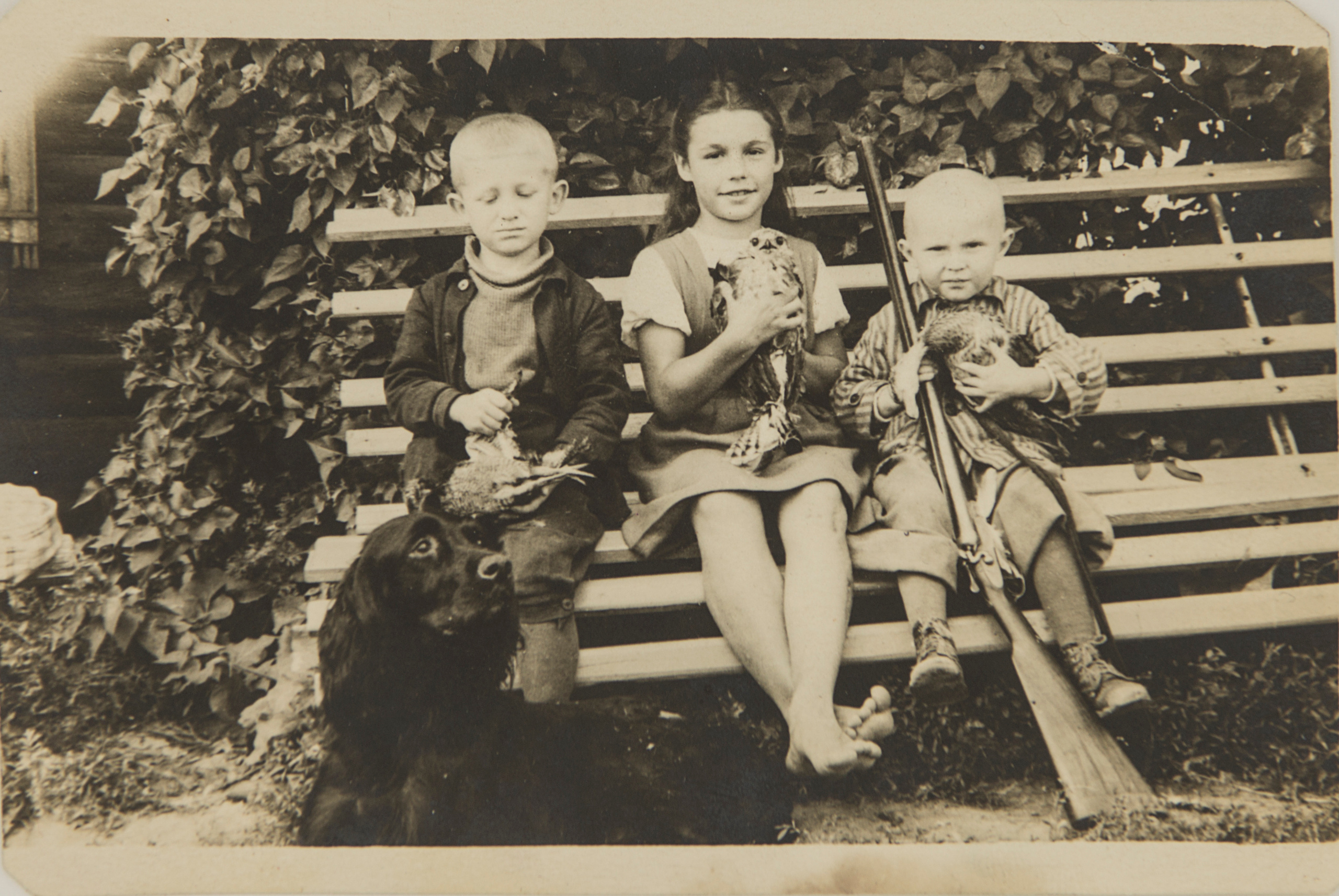 Архивные фотографии с изображением собак. Plechinta Ekaterina documentary photographer