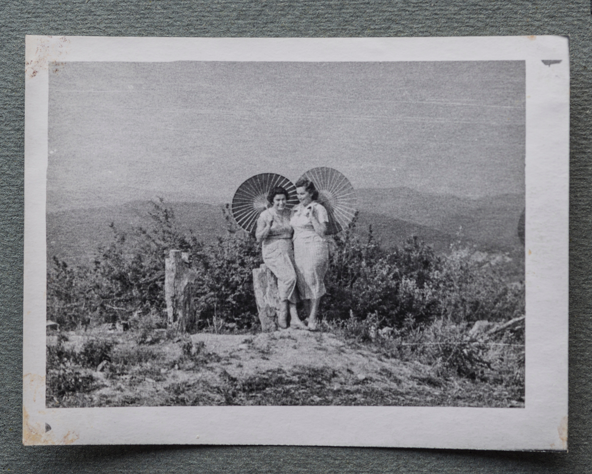 Альбом о путешествии по Крыму. Спидометр мотает километры, 1958 г. Plechinta Ekaterina — documentary photographer