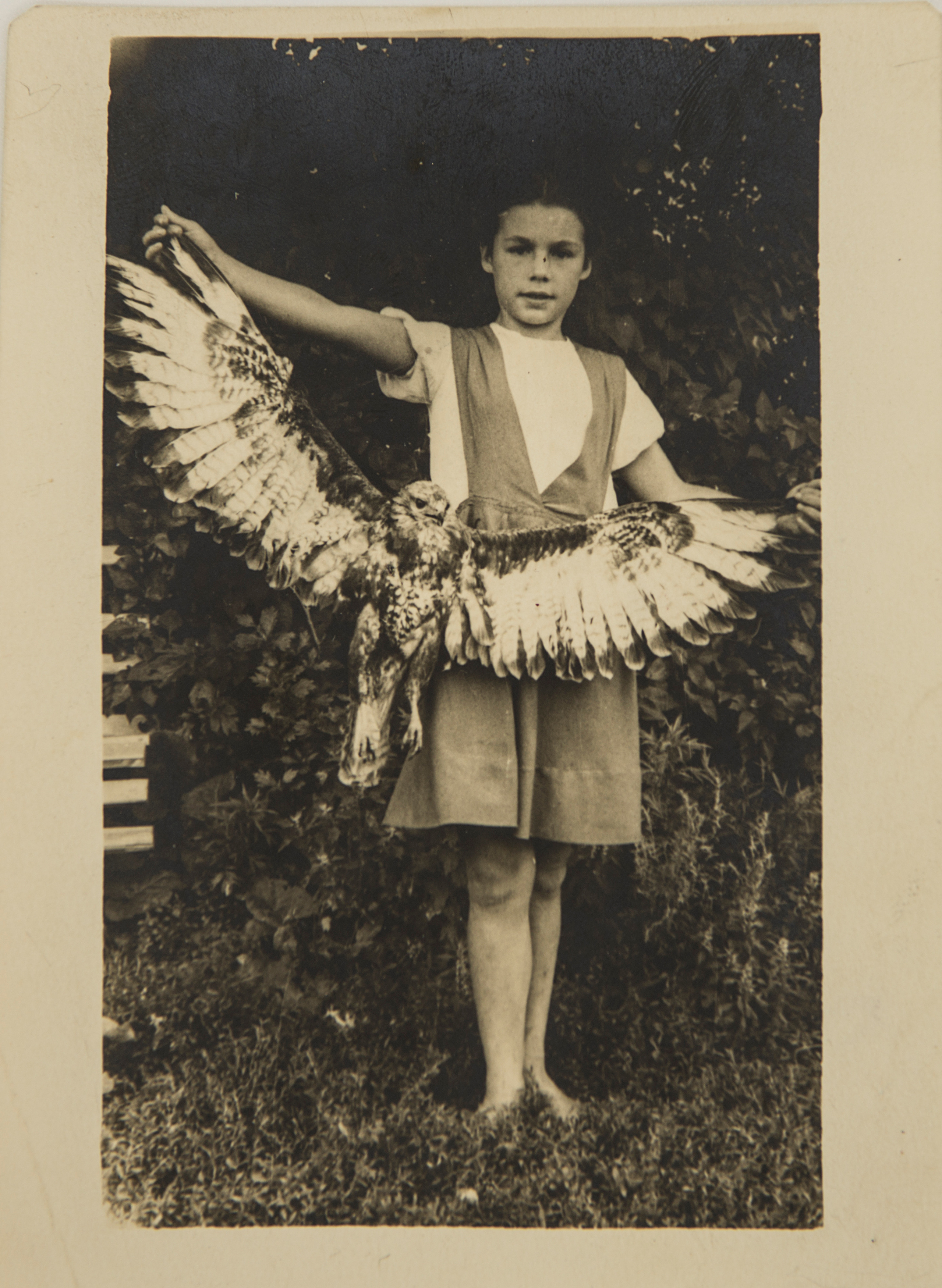 Архивные фотографии с изображением собак. Plechinta Ekaterina documentary photographer