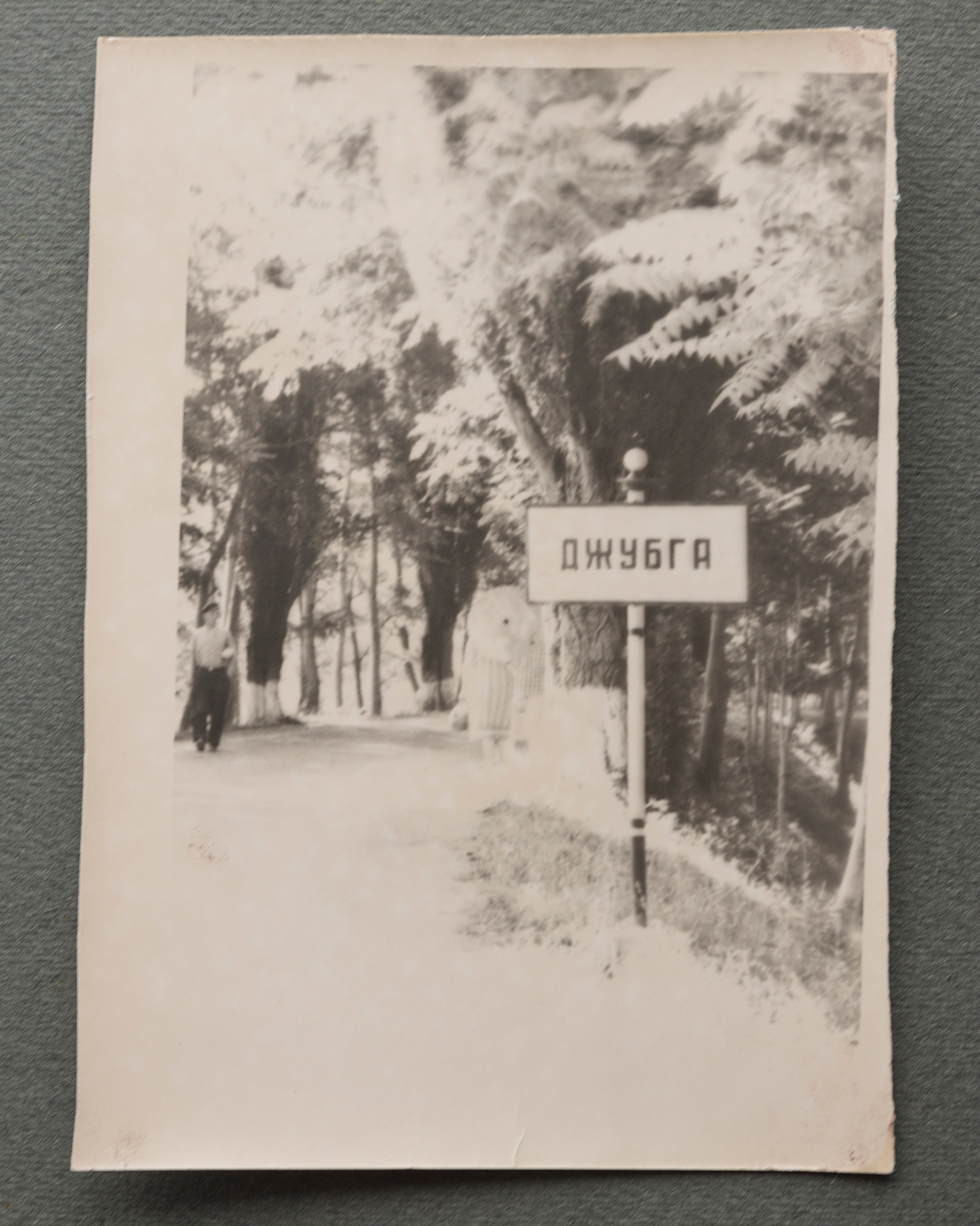 Альбом о путешествии по Крыму. Спидометр мотает километры, 1958 г. Plechinta Ekaterina — documentary photographer