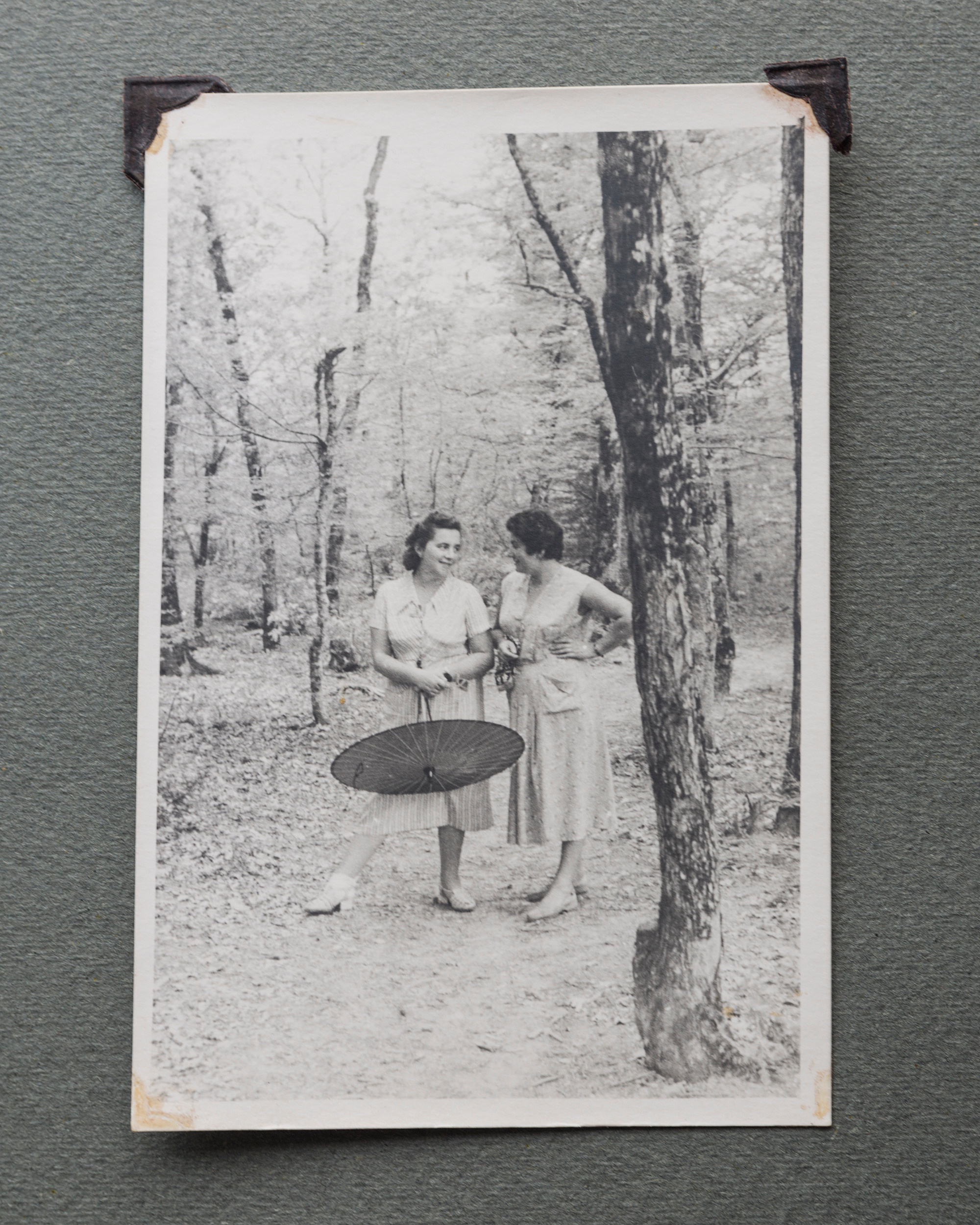 Альбом о путешествии по Крыму. Спидометр мотает километры, 1958 г. Plechinta Ekaterina — documentary photographer