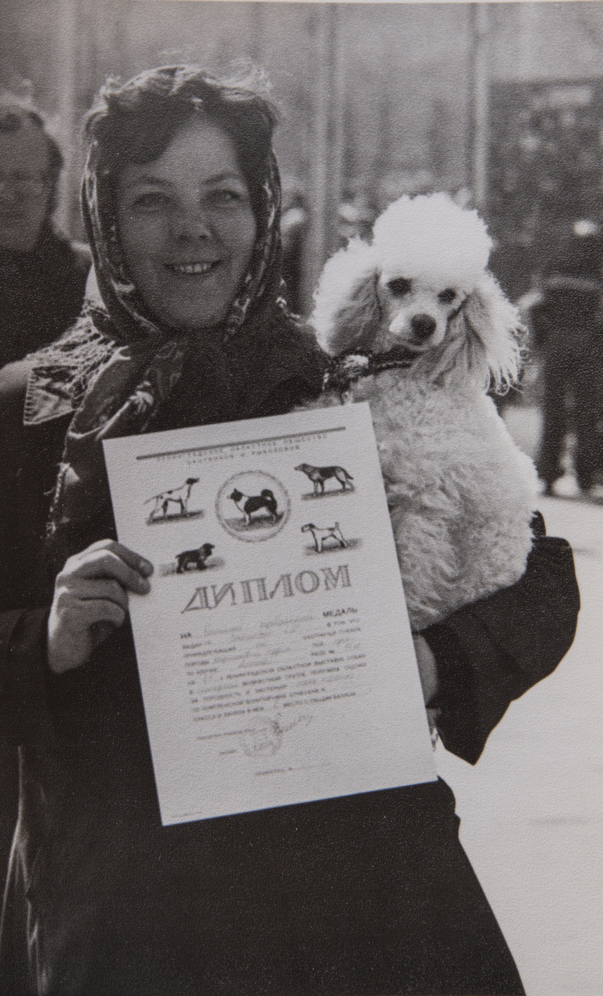 Архивные фотографии с изображением собак. Plechinta Ekaterina documentary photographer
