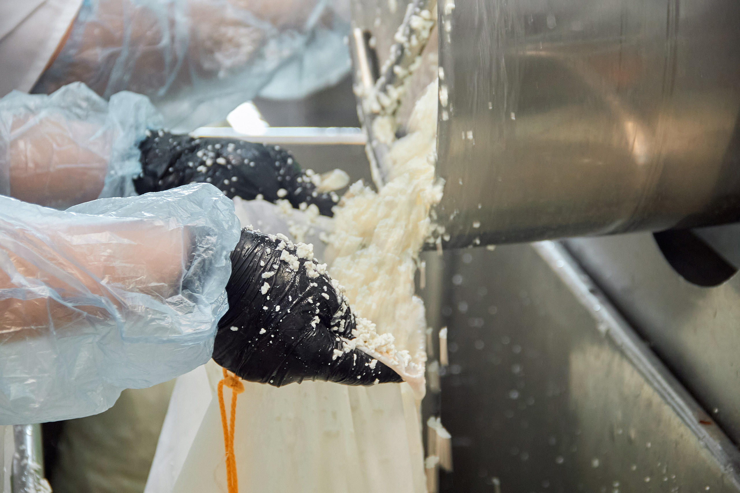 Экскурсия «Агроферма-Катынь». Фотограф в Смоленске Ася Польшина