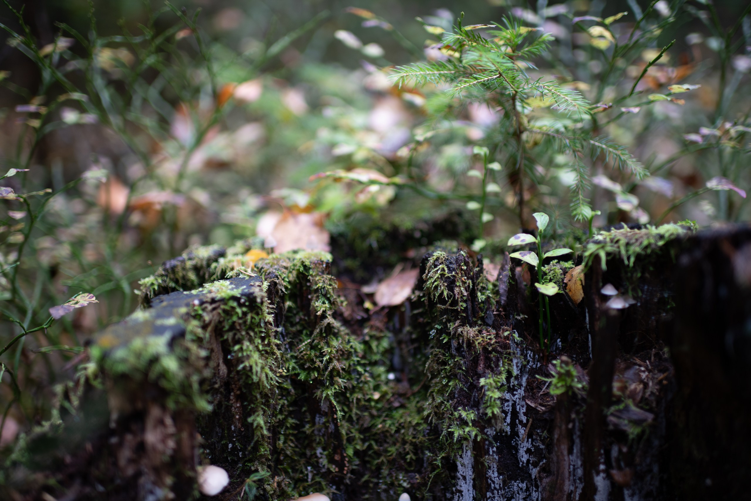 Пейзажи и урбан. Фотограф Илья Неверов