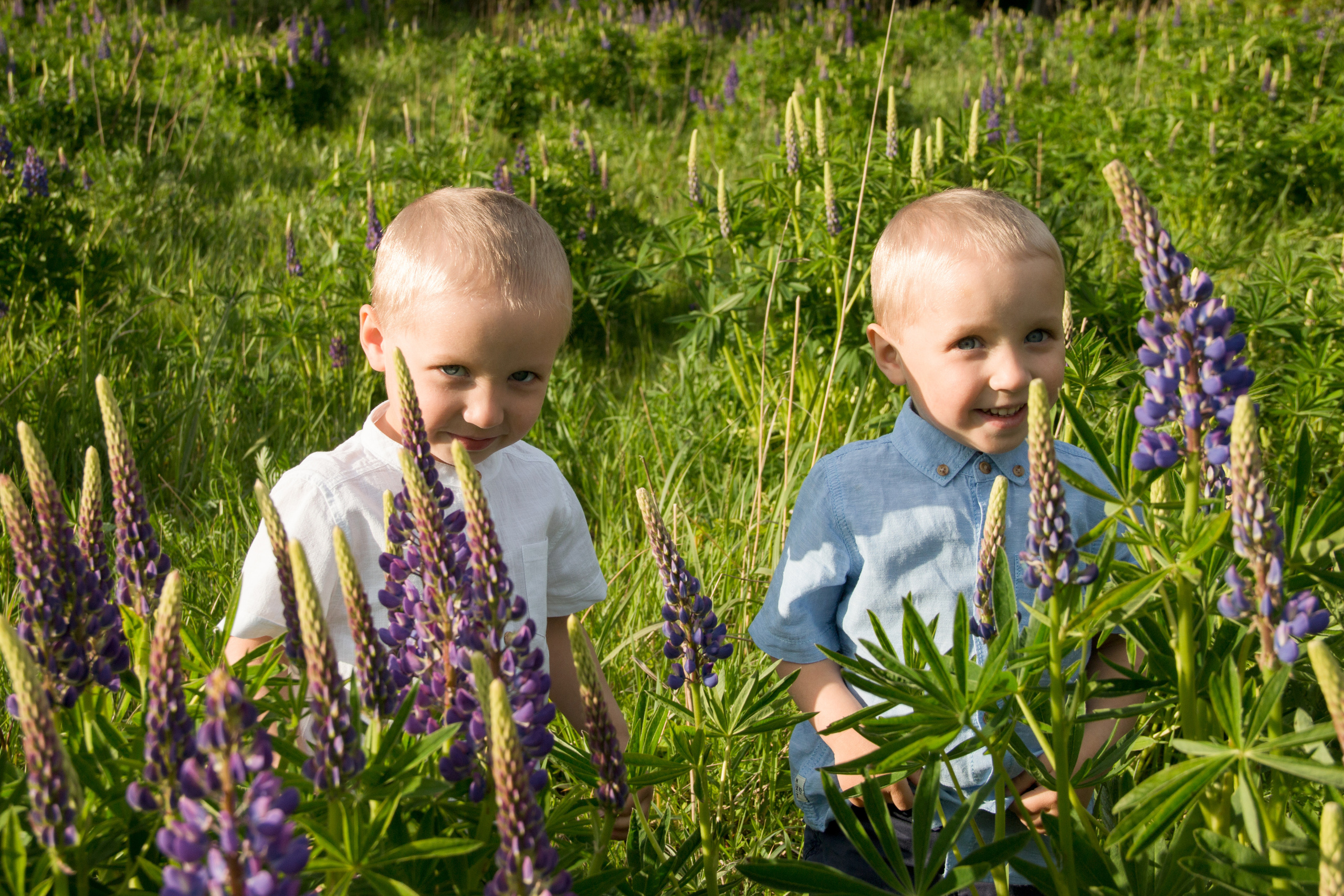 Семейные съемки. Фотограф Щукина Юлия