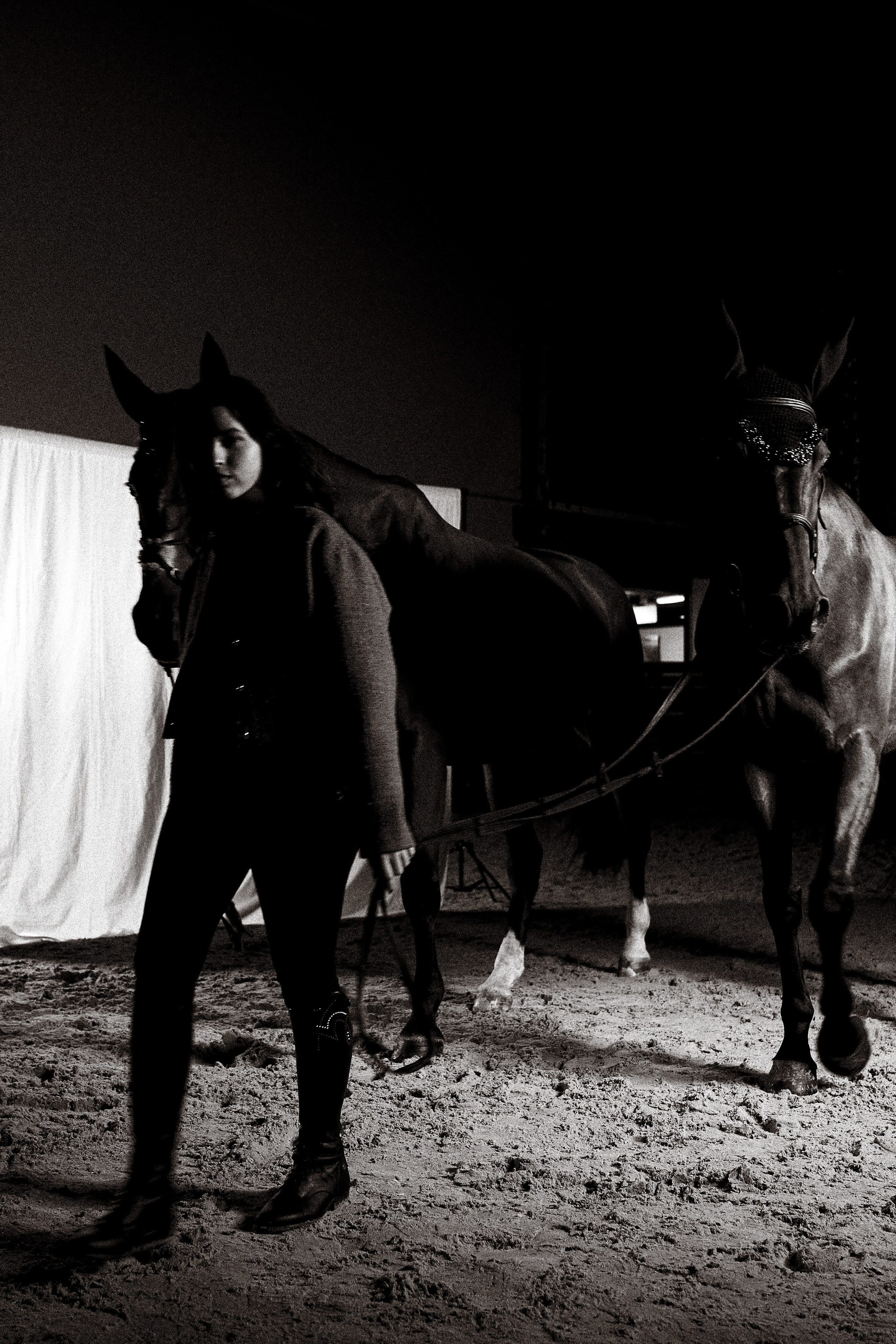 Алиса Олейник, Фардон и Кончелла. Эквицентр Северный. Фотосессии с лошадьми в Москве, Новосибирске