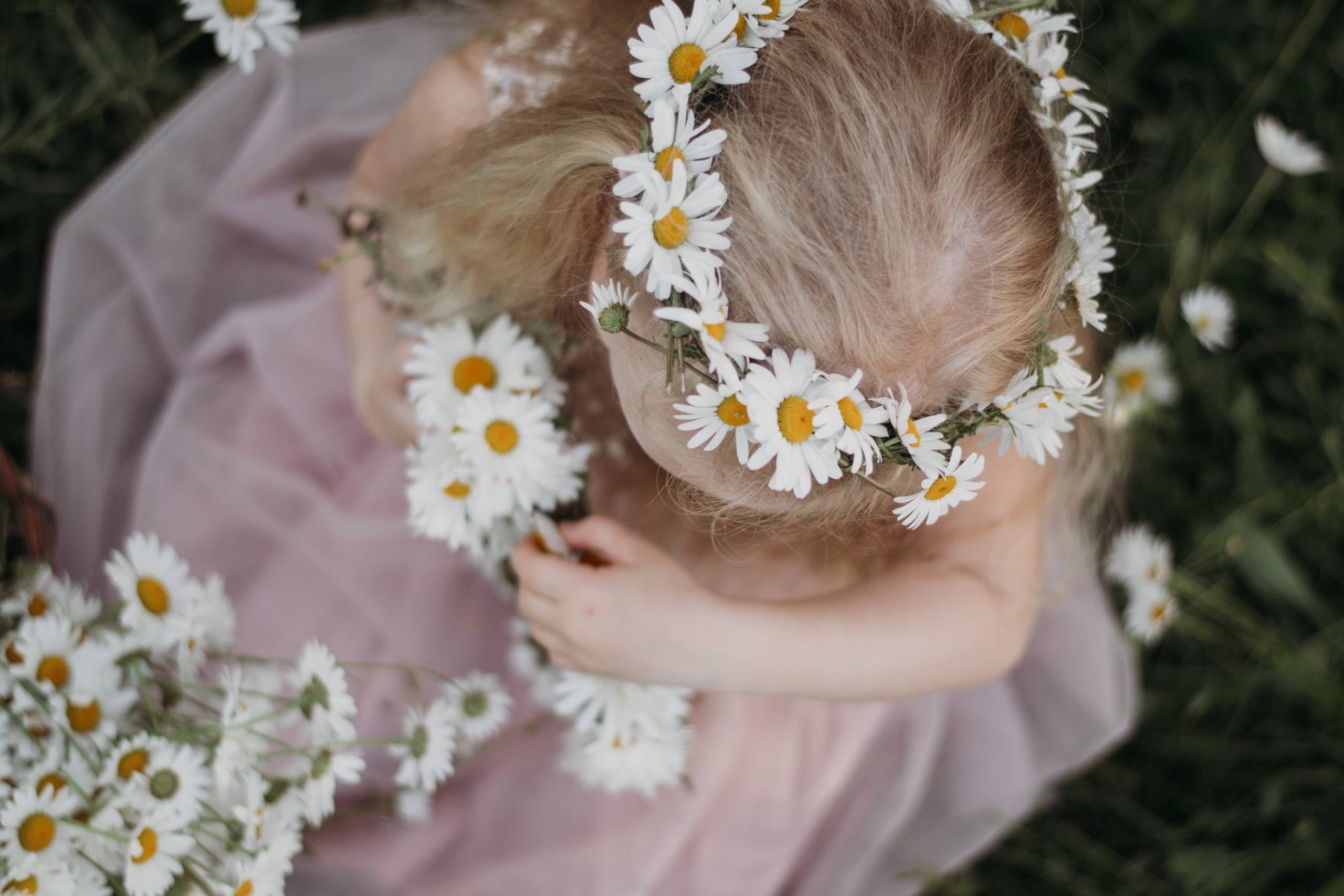 Фотодень в ромашках. Юна, Никита и Катя. Фотограф в Сочи — Маргарита Поганова