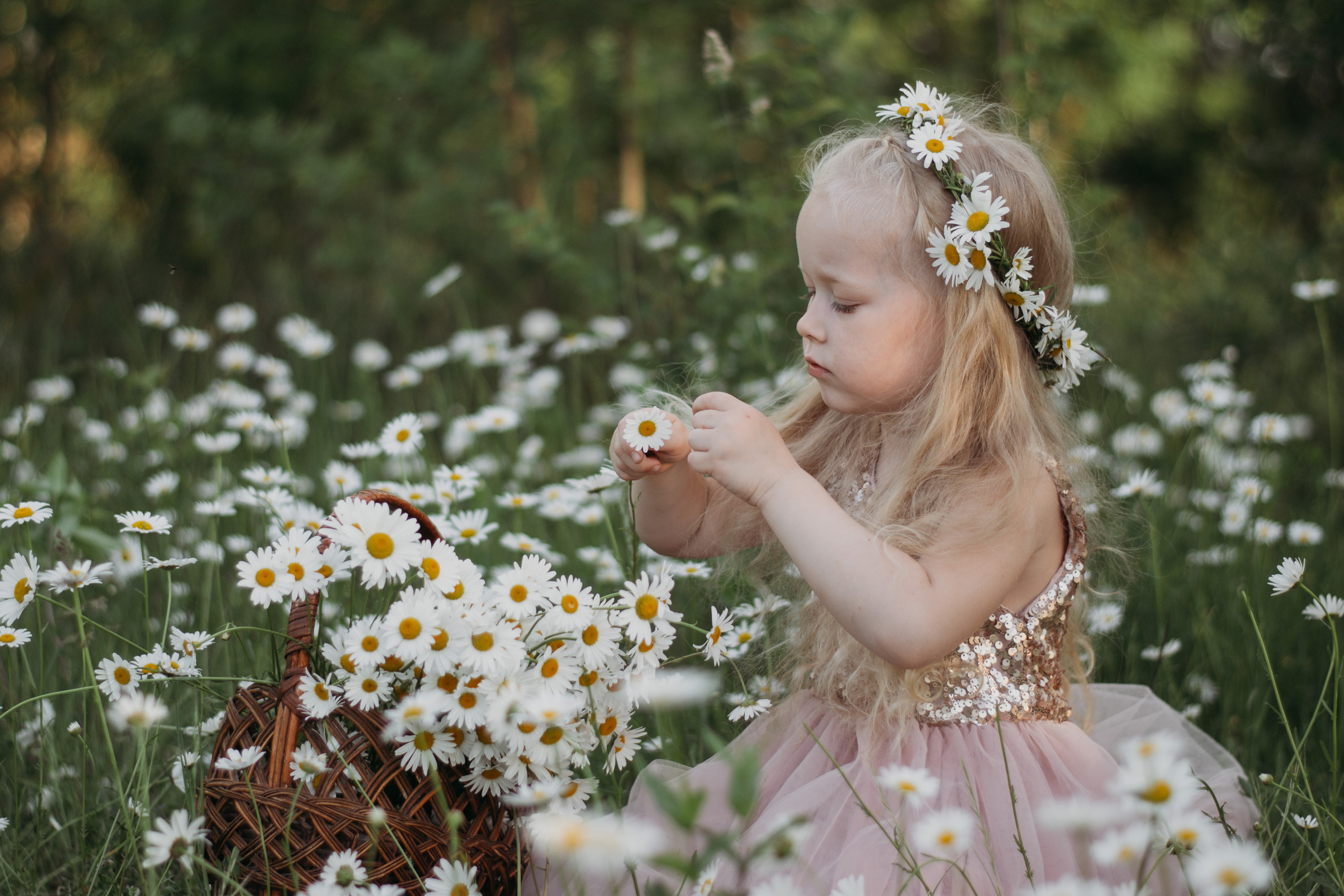 Фотодень в ромашках. Юна, Никита и Катя. Фотограф в Сочи — Маргарита Поганова