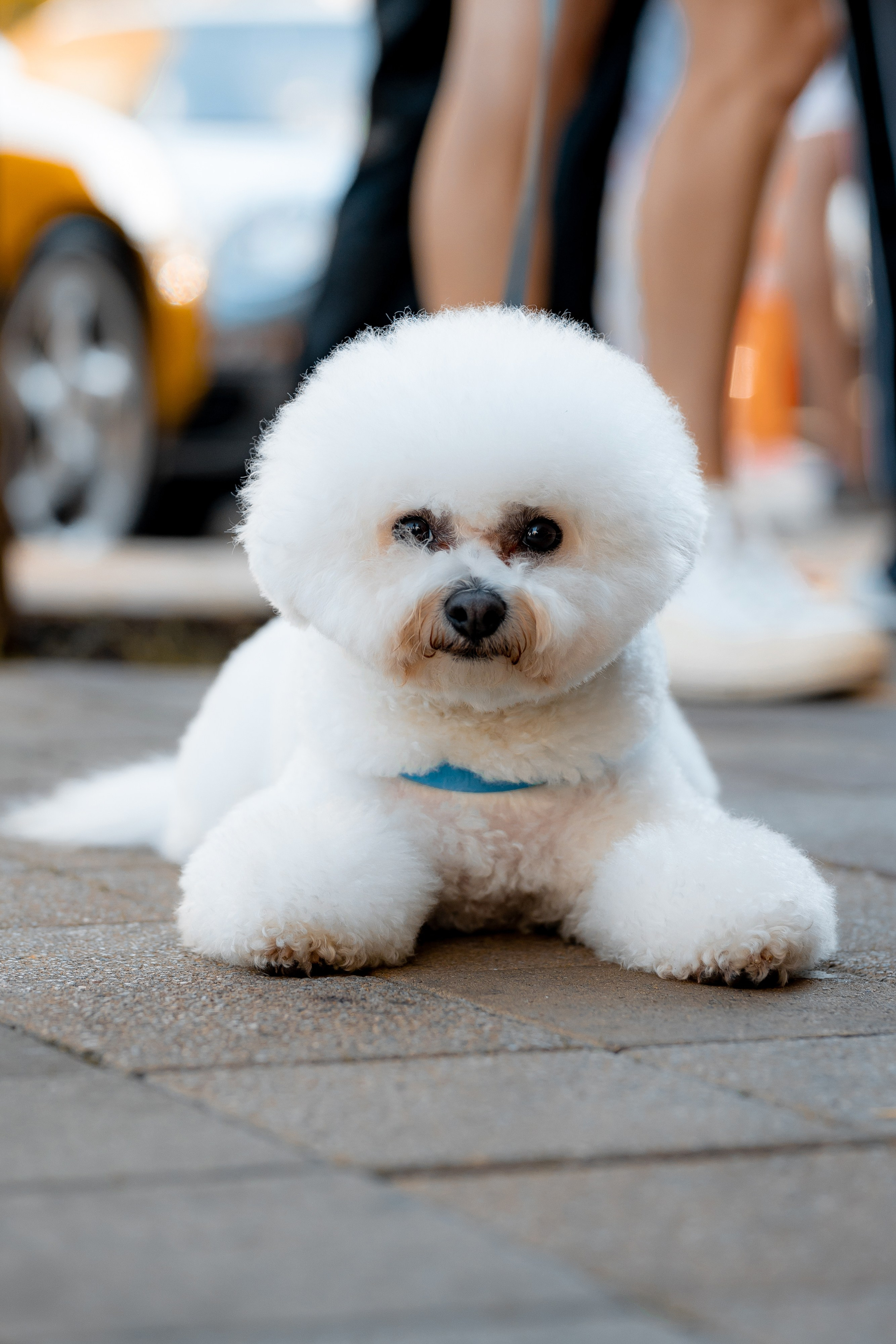 Porsche Завтрак в Cou-cou Bistro. Главная