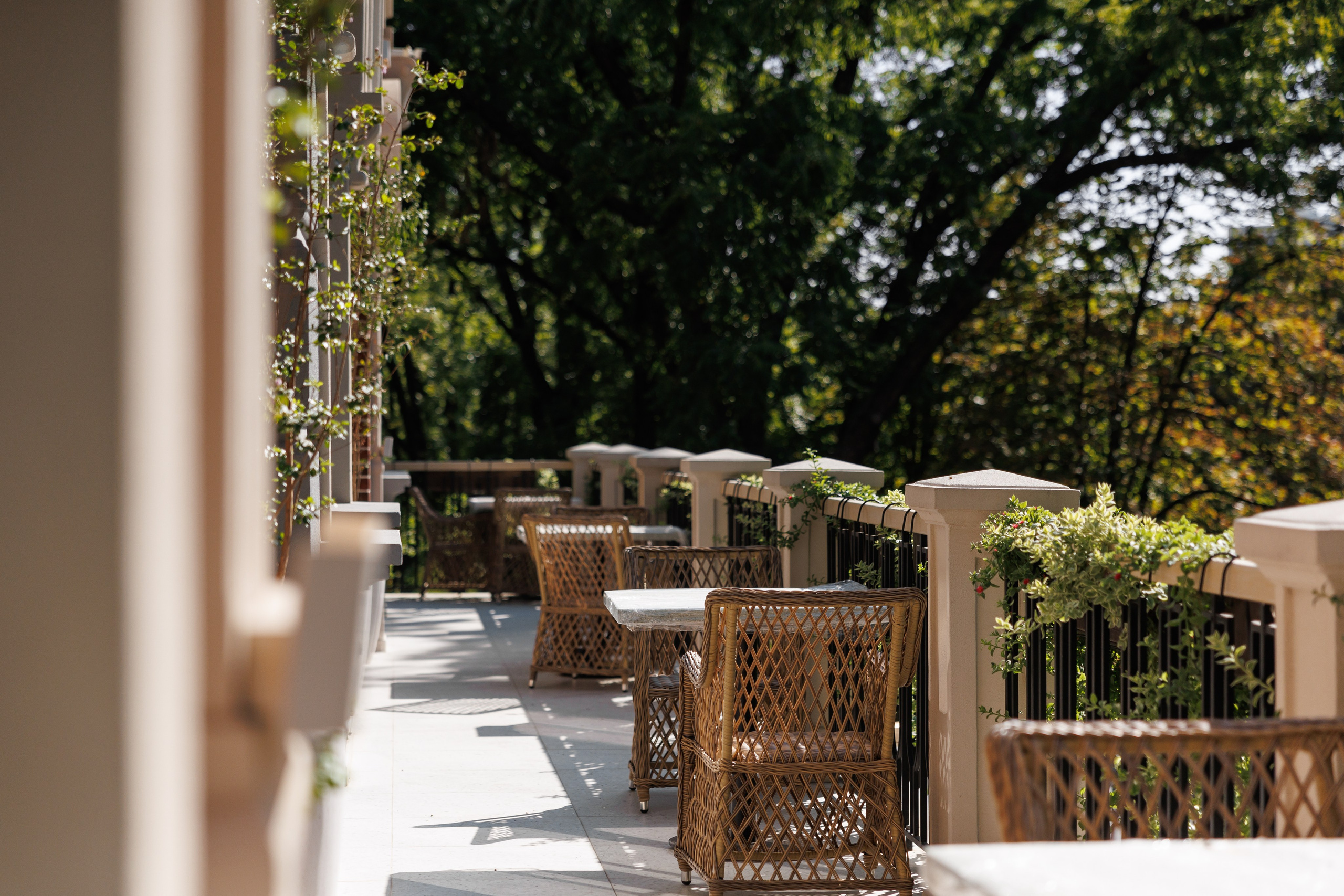 Тёплые Страны | Декор/Интерьер. Главная