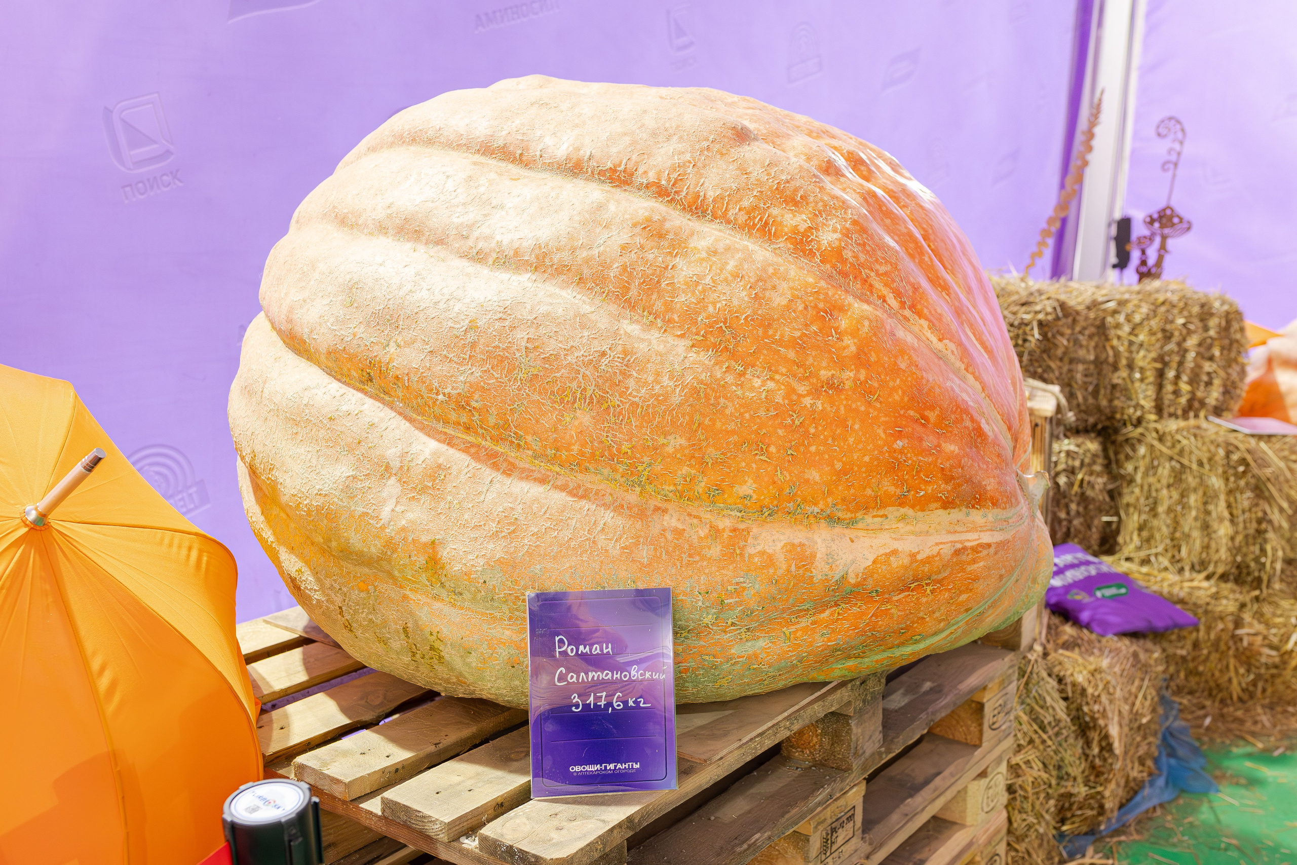 Овощи-гиганты. Александра Куликова фотограф, Москва