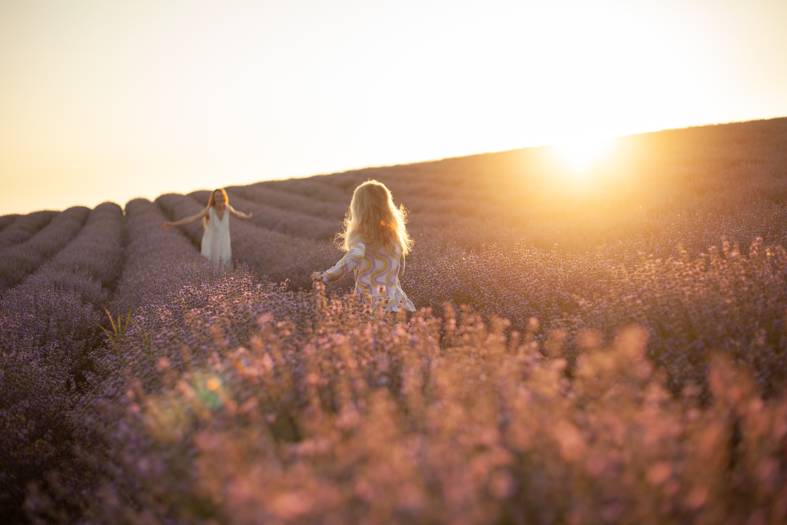 MJOLK. Лаванда 2023. Римма Зайцева контент для брендов