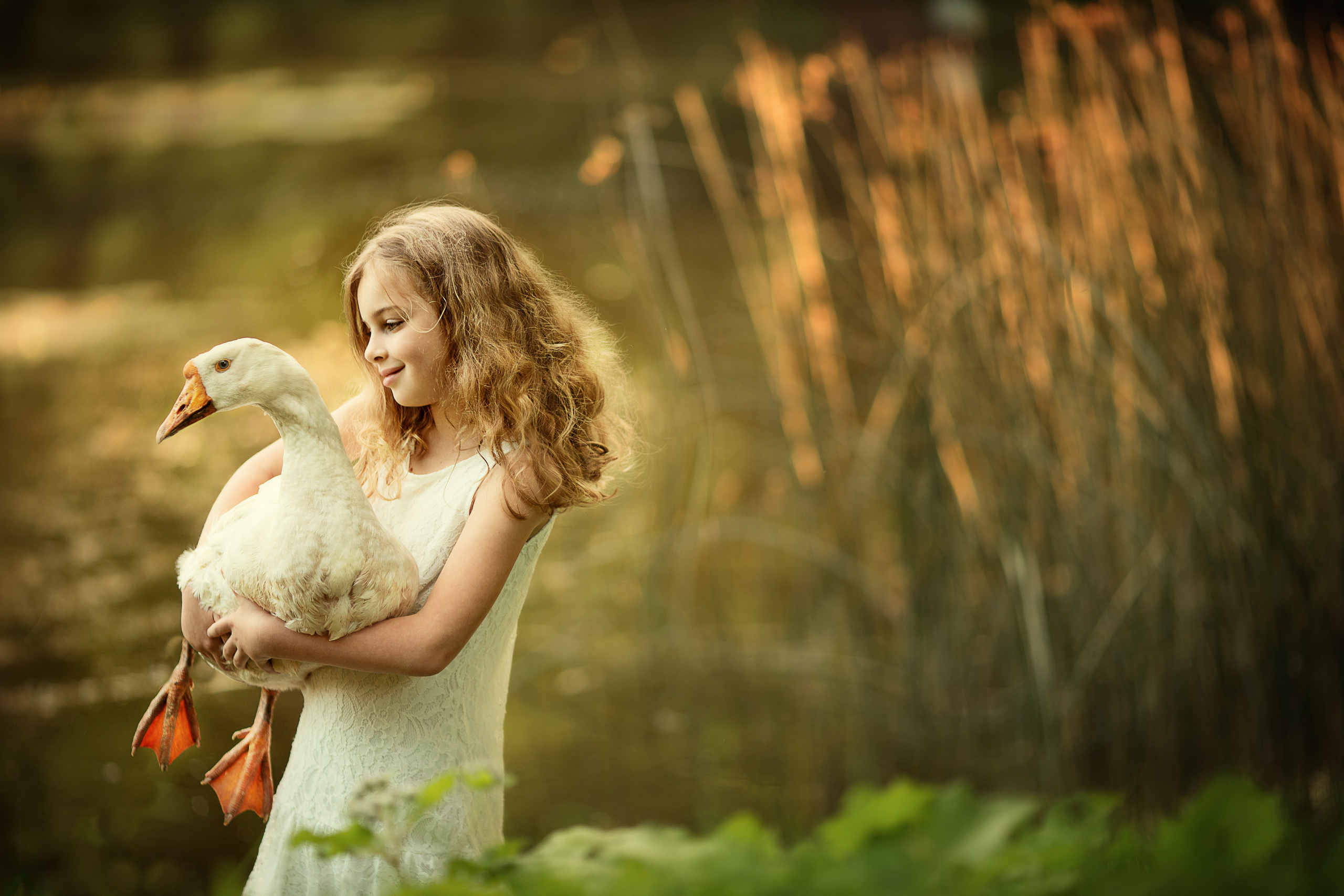 Портфолио. Карнеева Елена. Детский, семейный фотограф