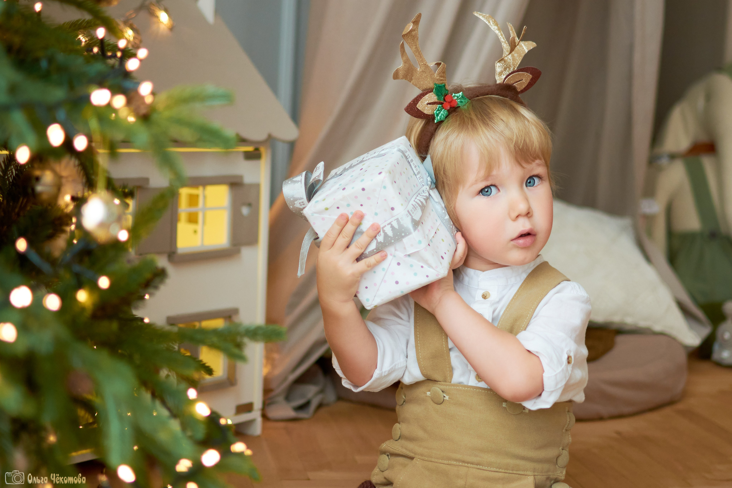 Новогодняя сказка для Пети. Ольга Чёкотова (Фотограф Кострома)