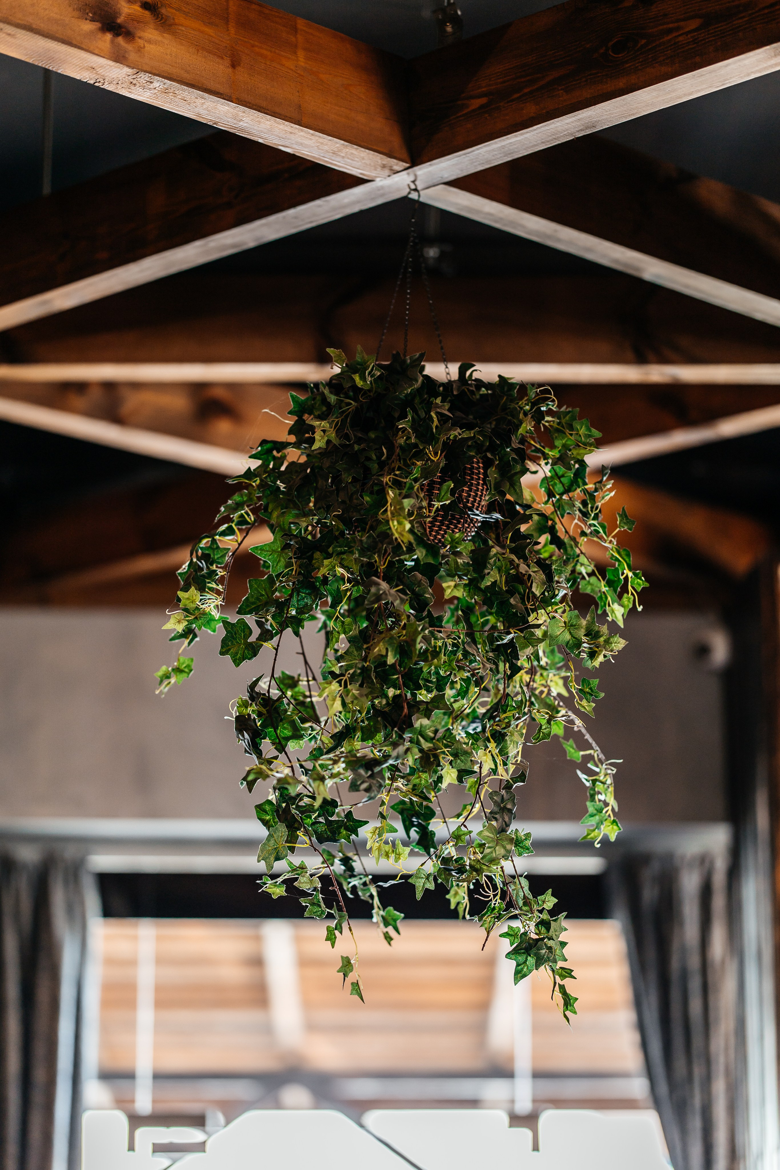 Грозный Maidan. Самый свадебный фотограф