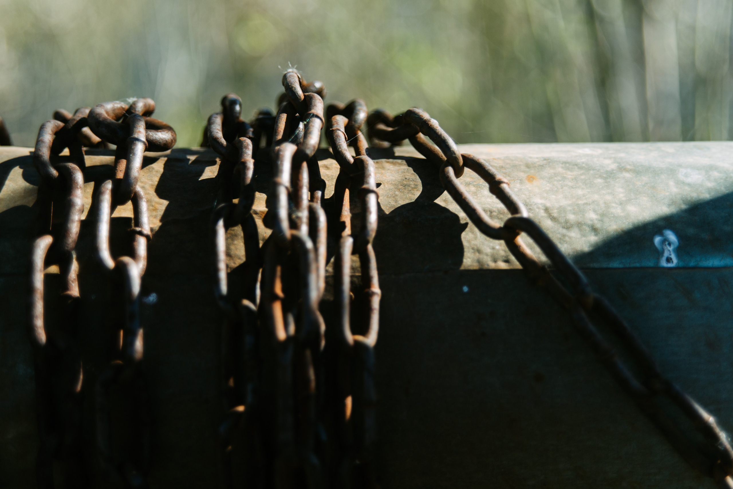Орановка. Репортажный и портретный фотограф в Липецкой, Воронежской, Московской области Тёма Белоусов